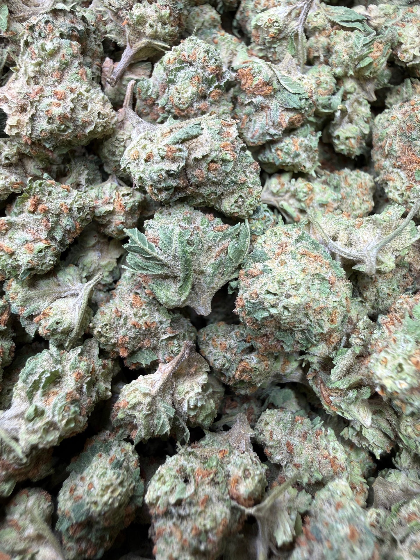 1 Pound - Blueberry Pancakes THCA Strain (Smalls) Frisco Labs