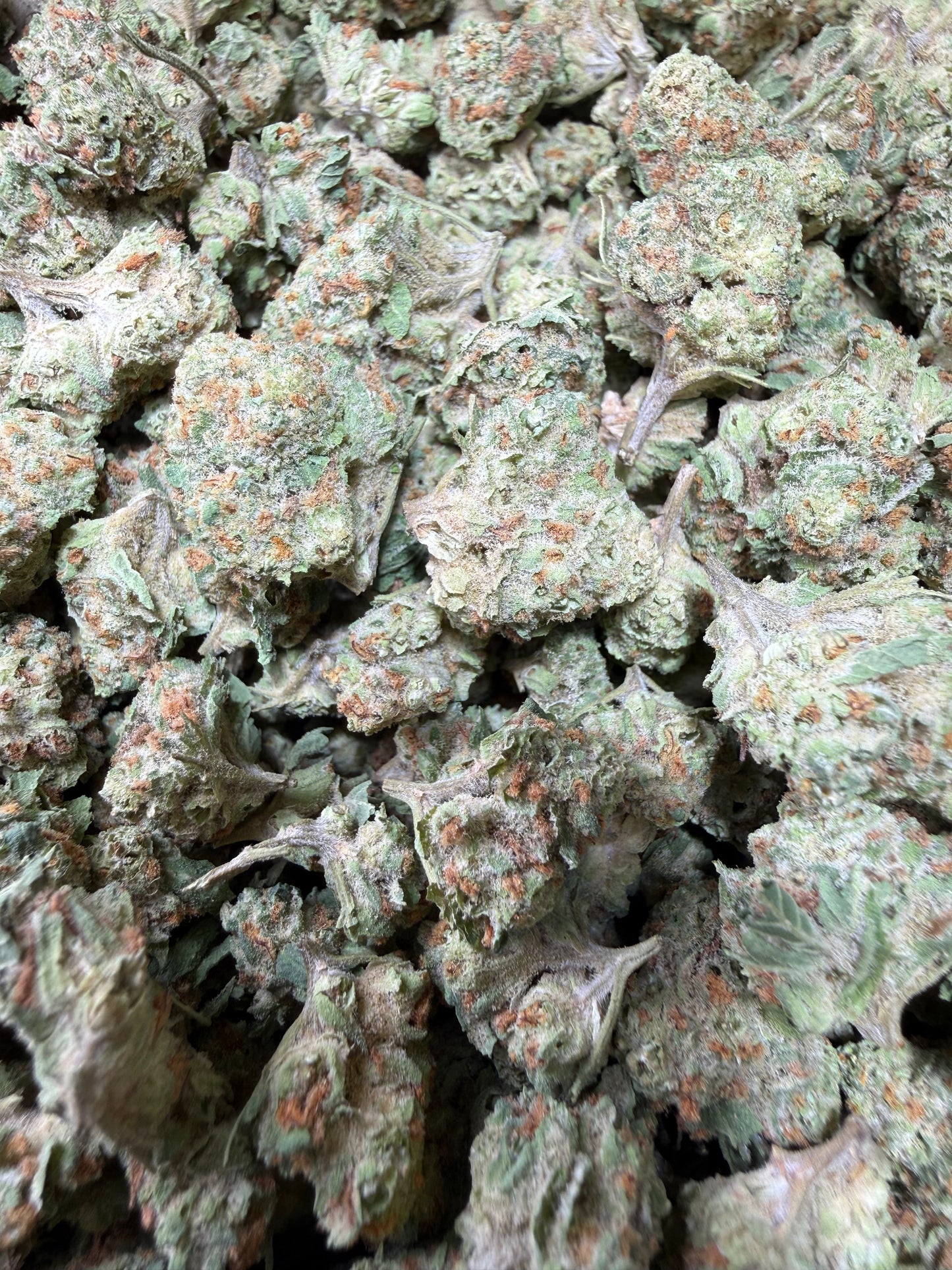 1 Pound - Blueberry Pancakes THCA Strain (Smalls) Frisco Labs
