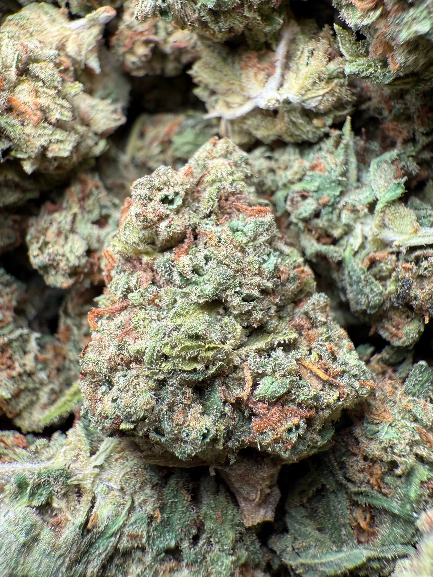 1 Pound Bubble Yum THCA FL Fulfillment Center