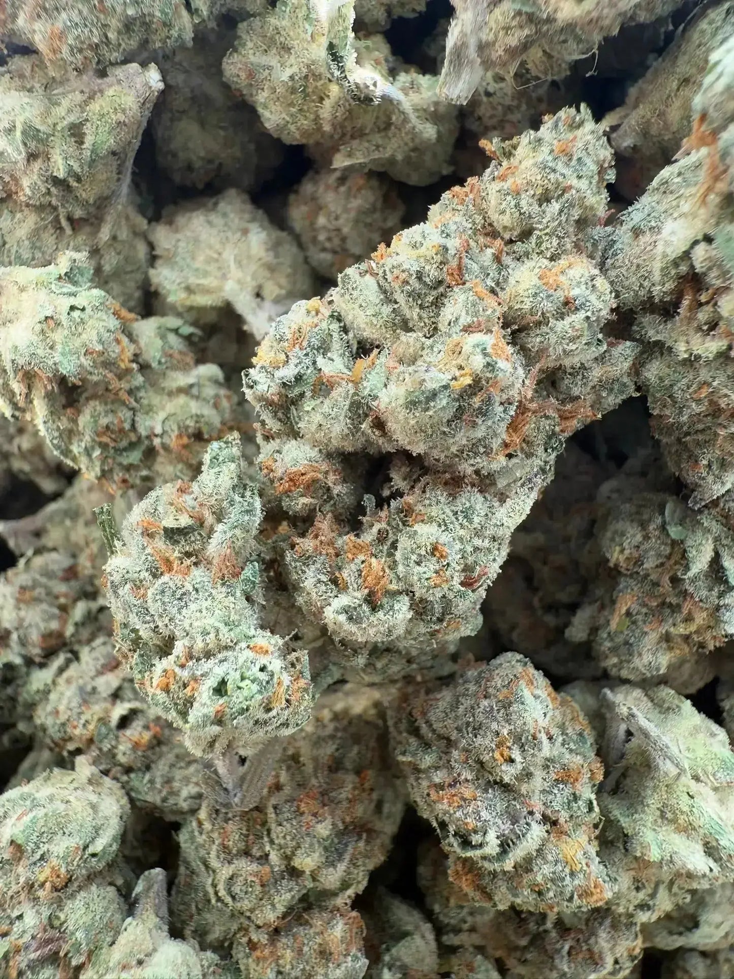 Cheeta Piss THCA Strain