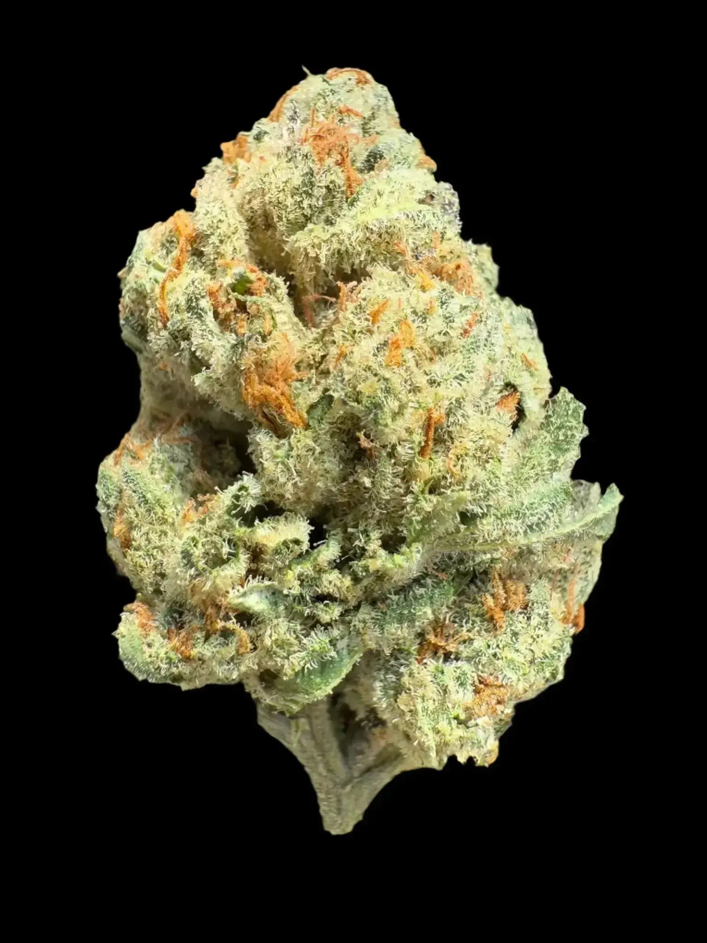 AAA Indoor Exotic - Cheeta Piss THCA Strain