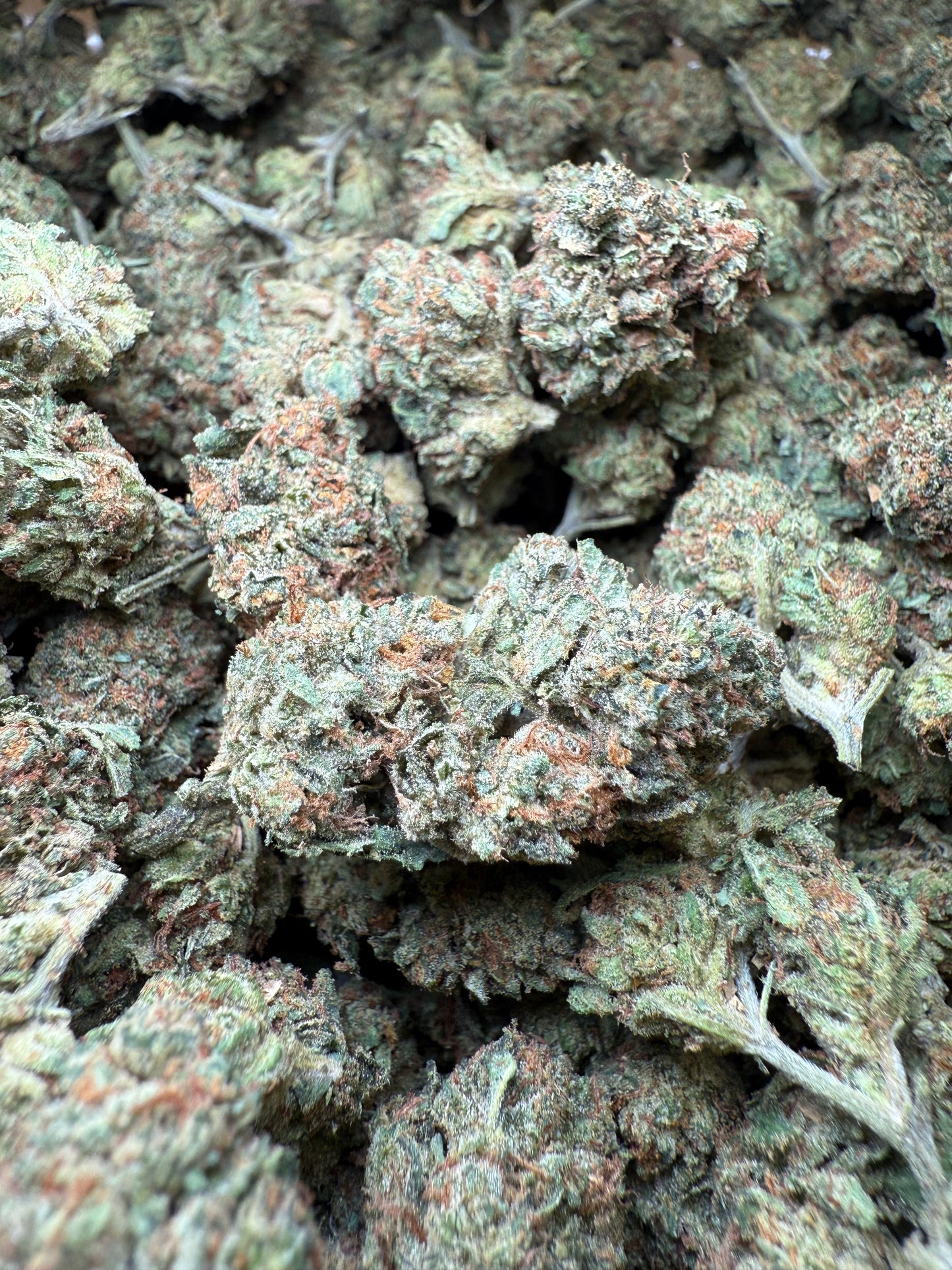 1 Pound - Frozen Lemons THCA Strain Frisco Labs