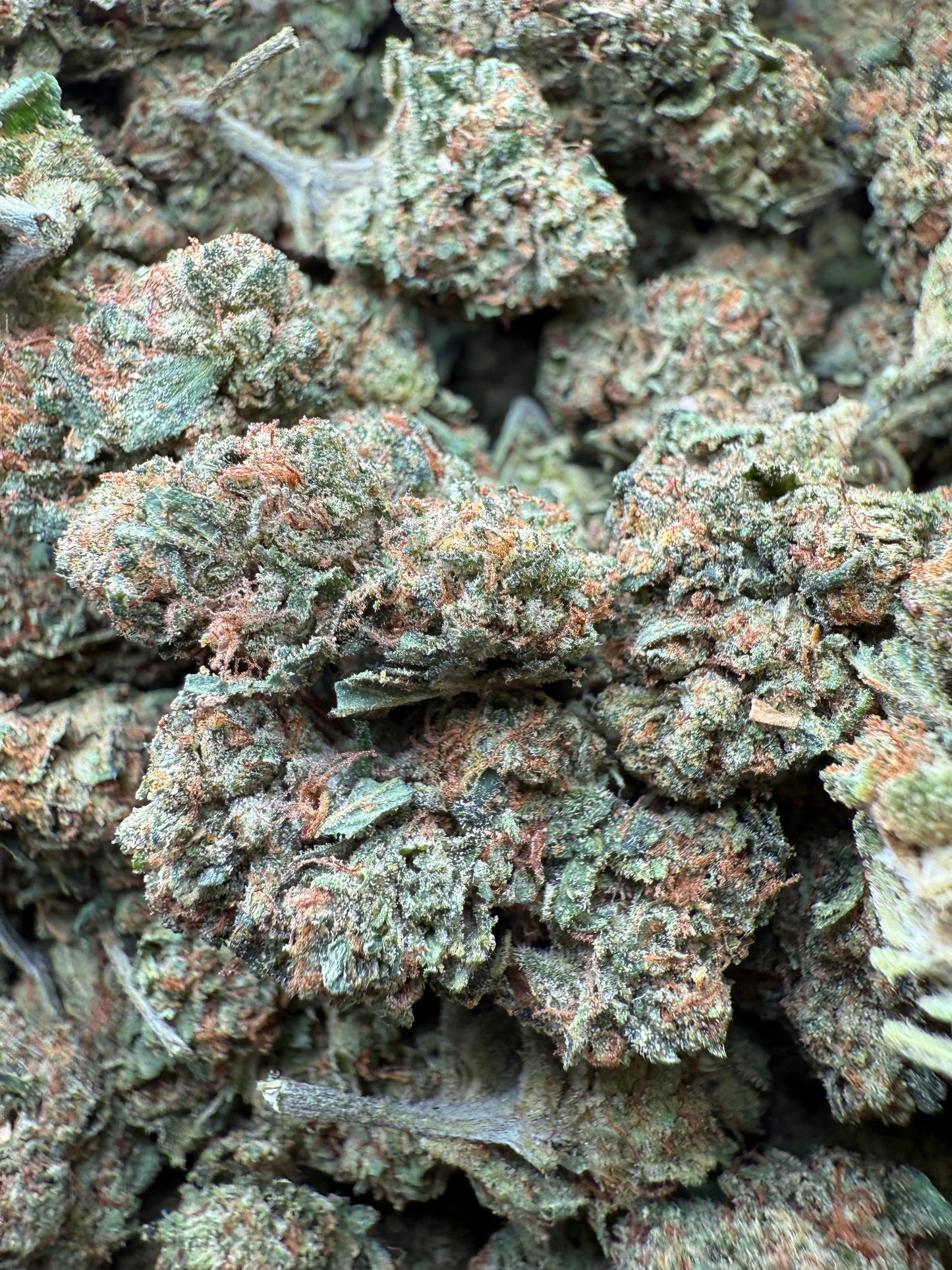 1 Pound - Frozen Lemons THCA Strain Frisco Labs