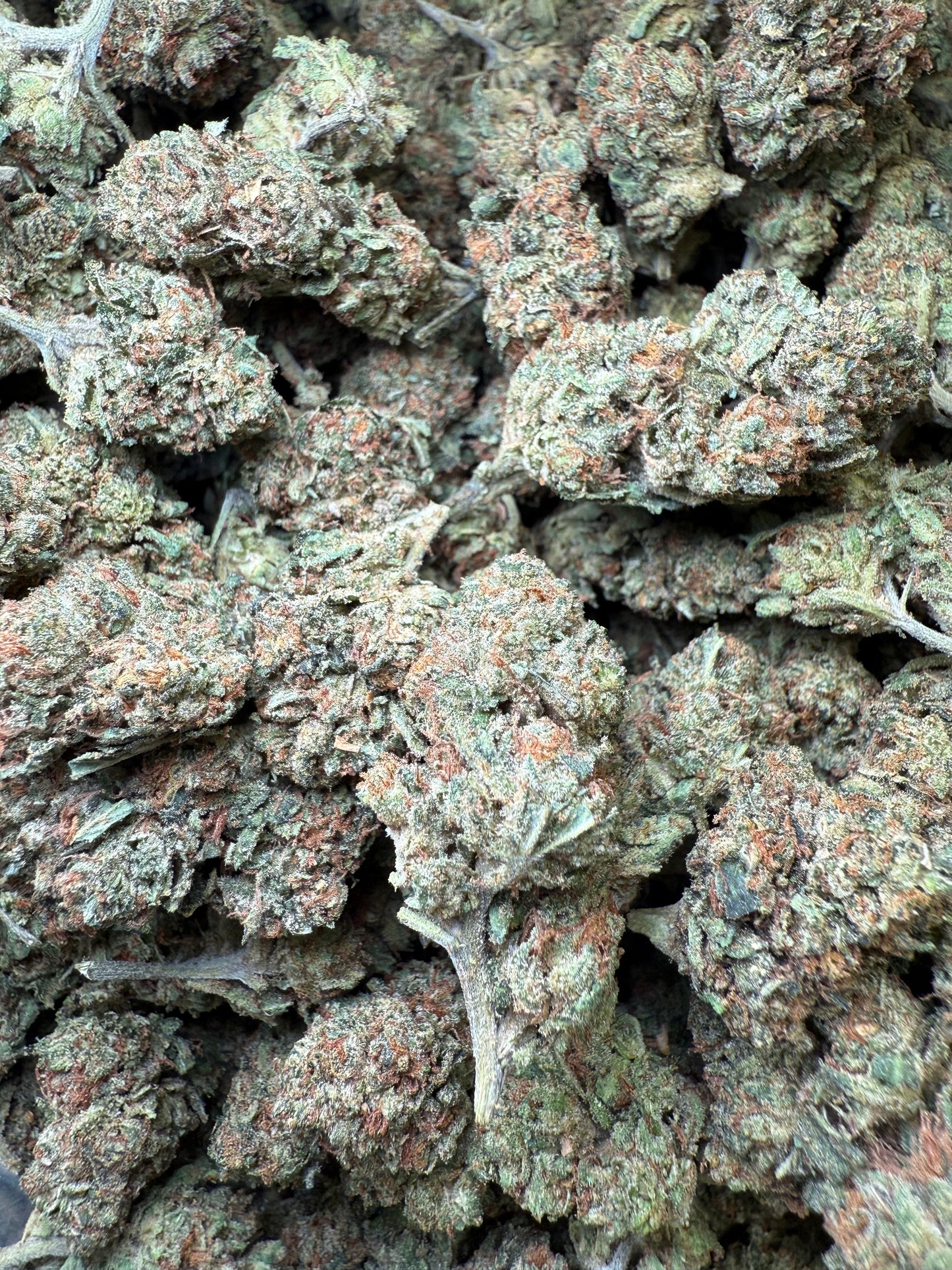 1 Pound - Frozen Lemons THCA Strain Frisco Labs