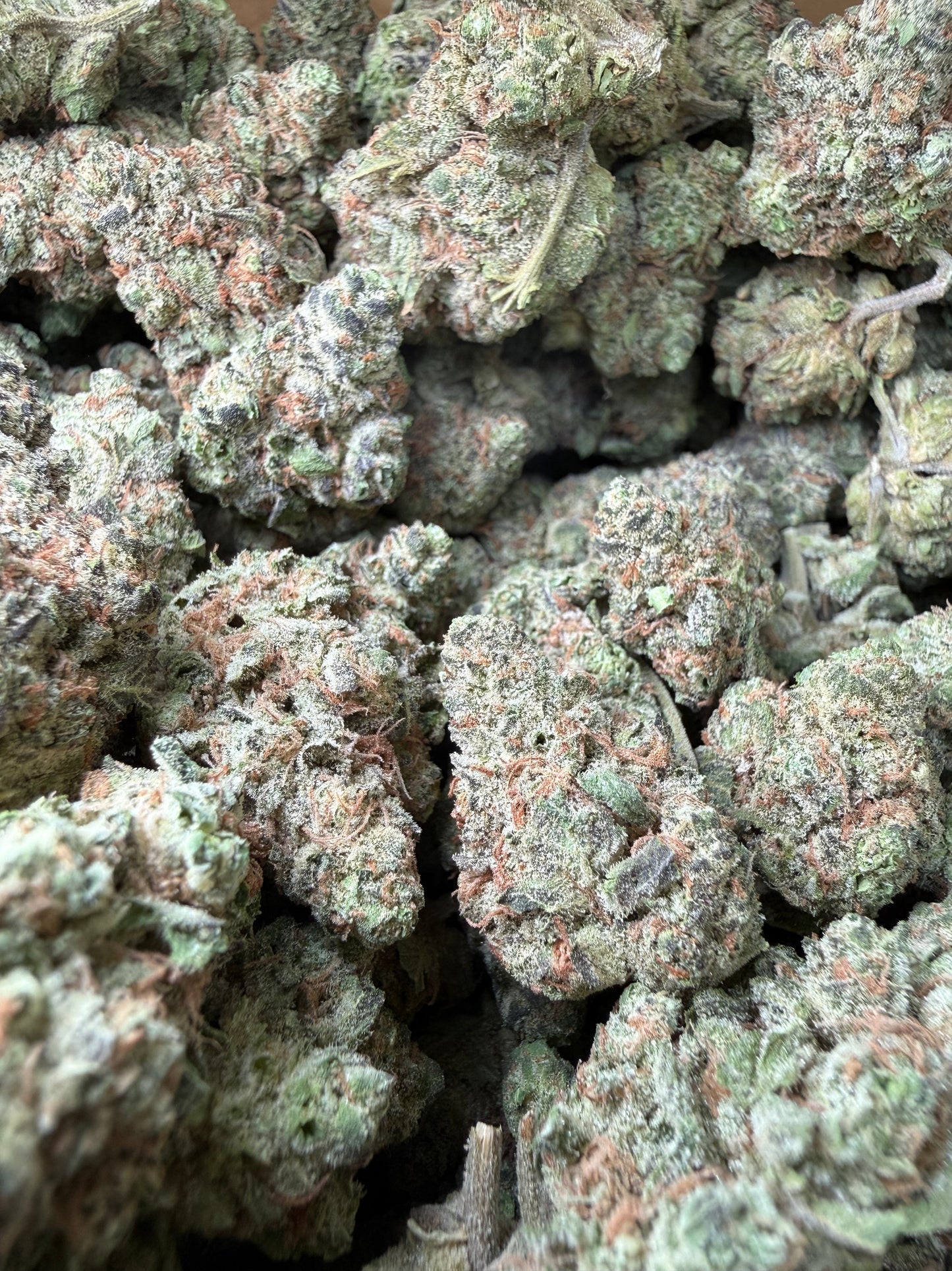 1 Pound - GovernMintz THCA Strain Frisco Labs
