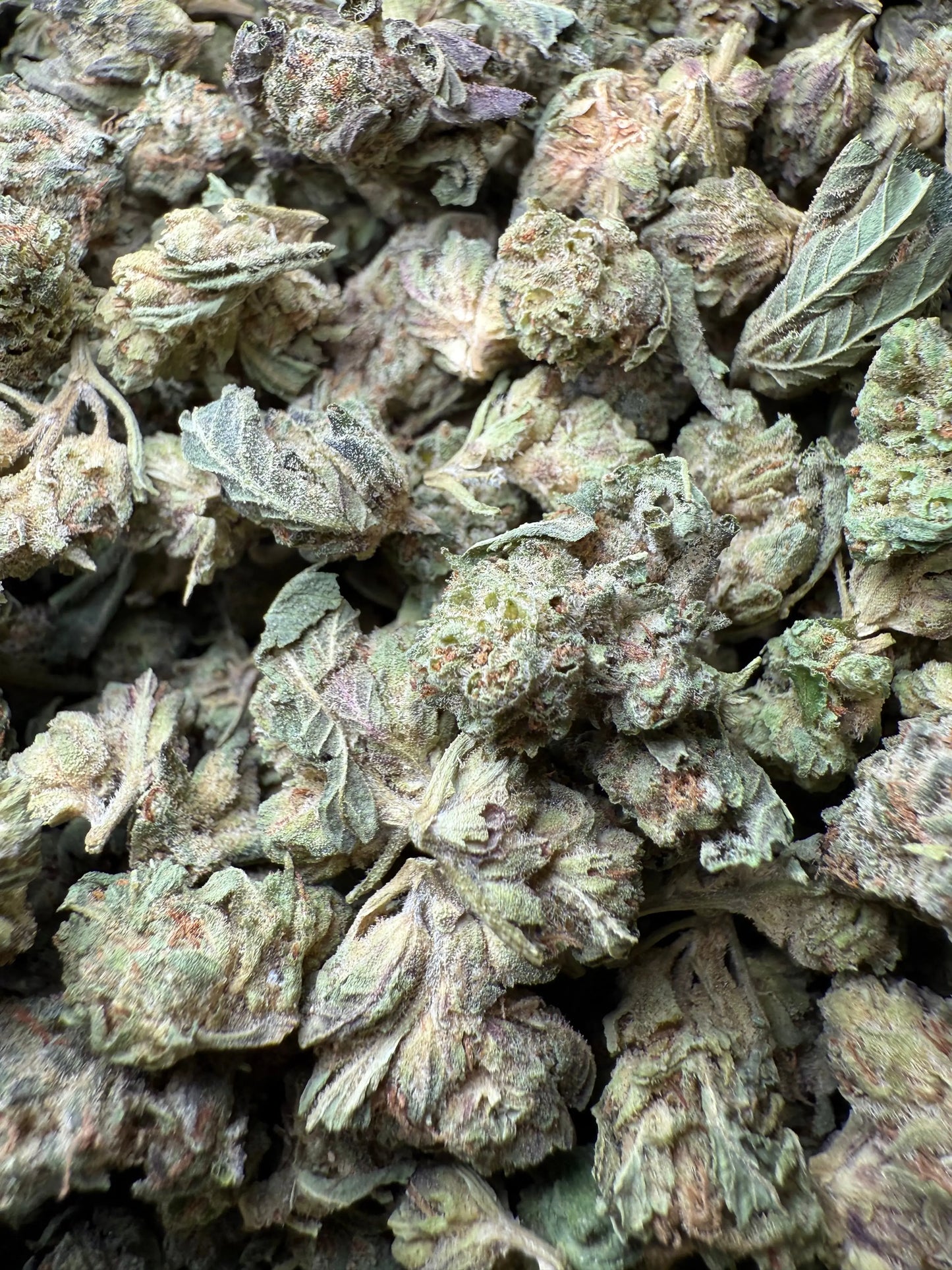 1 Pound - Jokers Runtz THCA Strain (Small) Frisco Labs