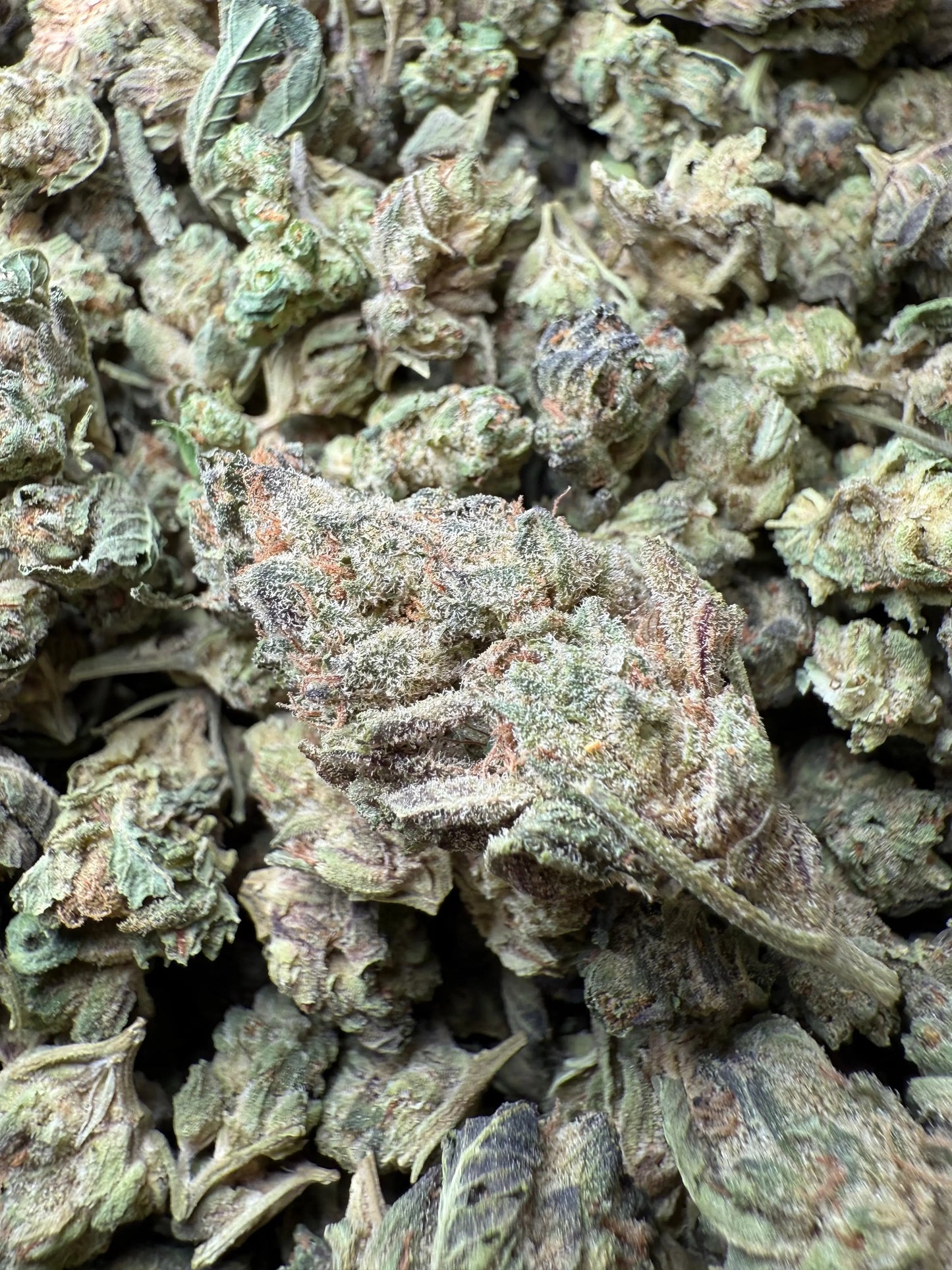 1 Pound - Jokers Runtz THCA Strain (Small) Frisco Labs