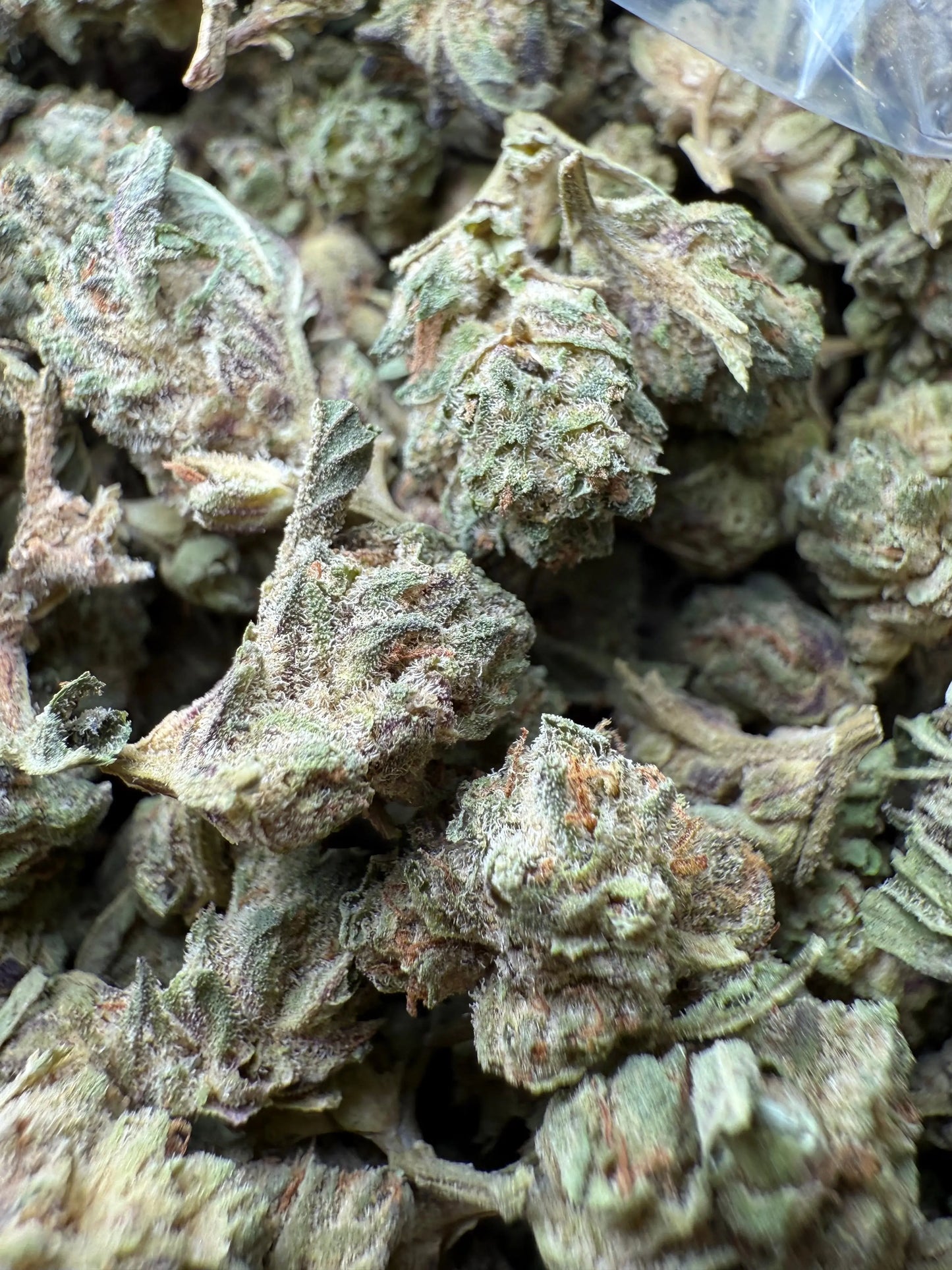1 Pound - Jokers Runtz THCA Strain (Small) Frisco Labs