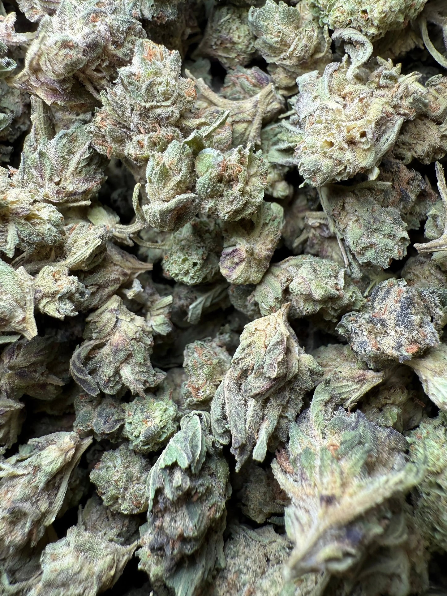 1 Pound - Jokers Runtz THCA Strain (Small) Frisco Labs