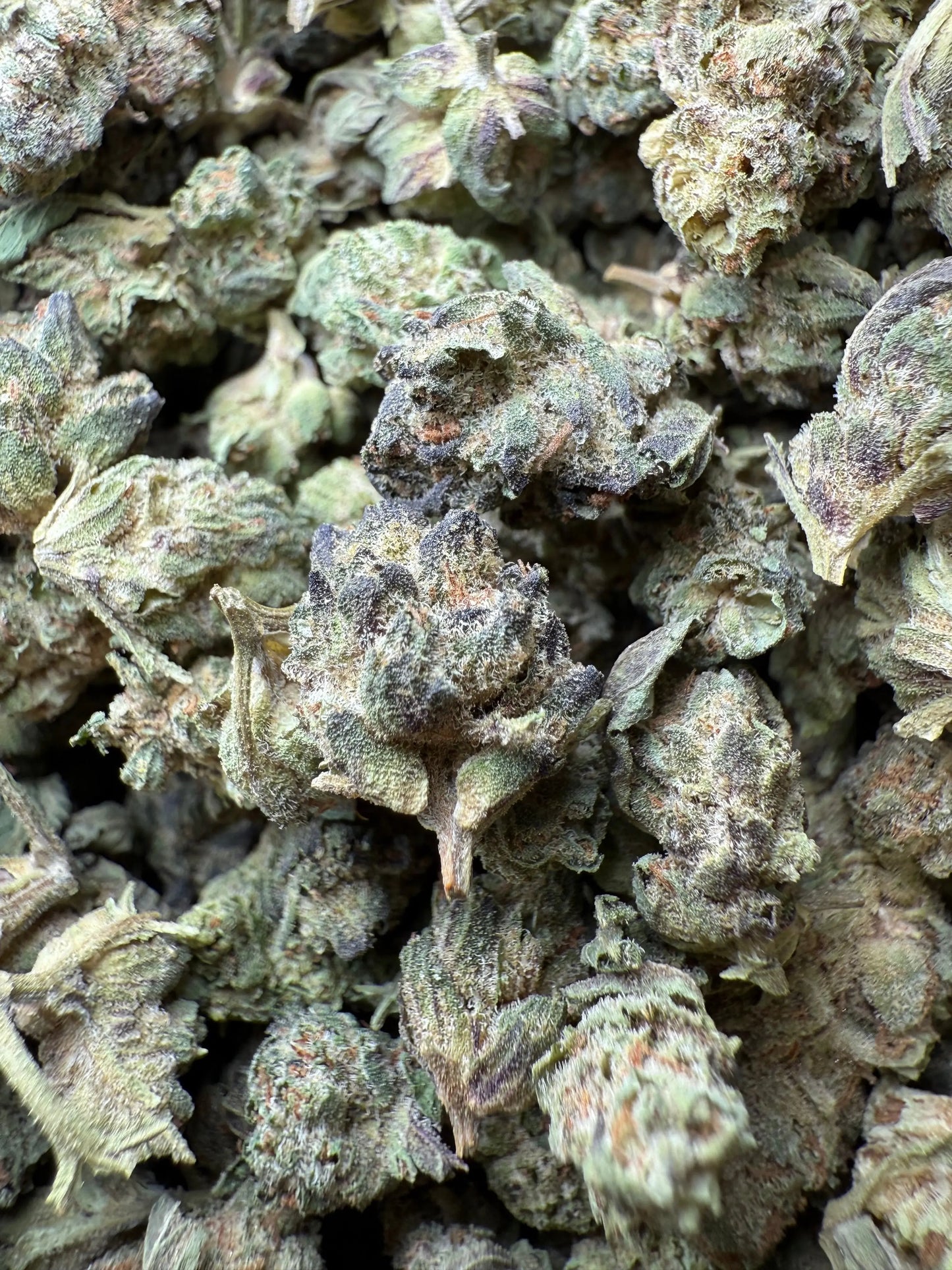 1 Pound - Jokers Runtz THCA Strain (Small) Frisco Labs
