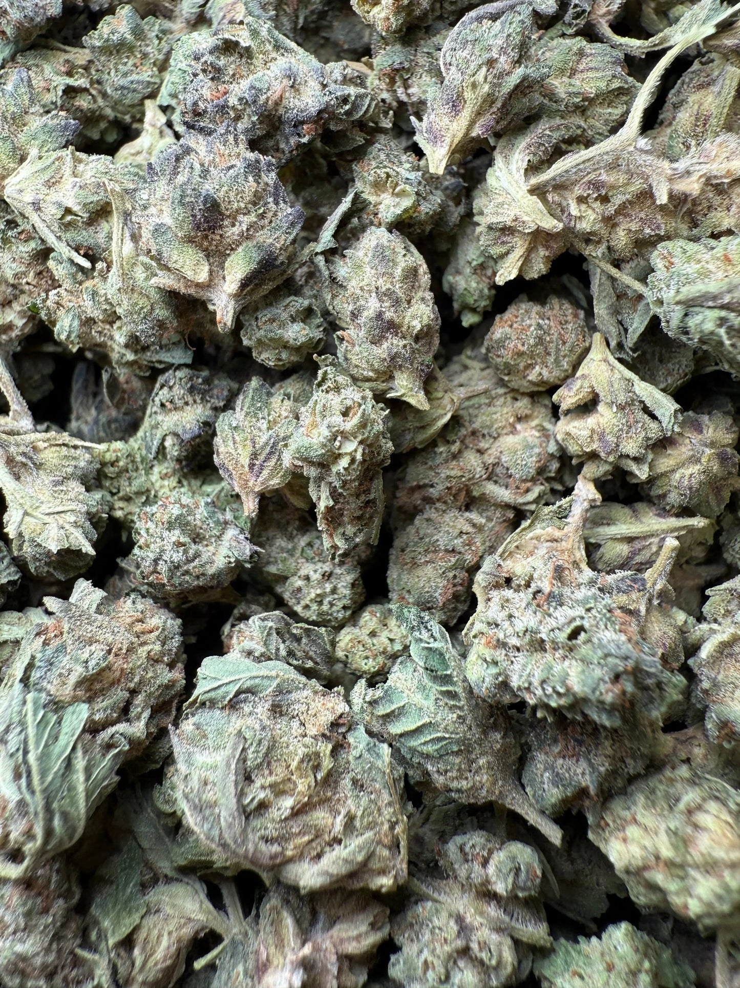 1 Pound - Jokers Runtz THCA Strain (Small) Frisco Labs