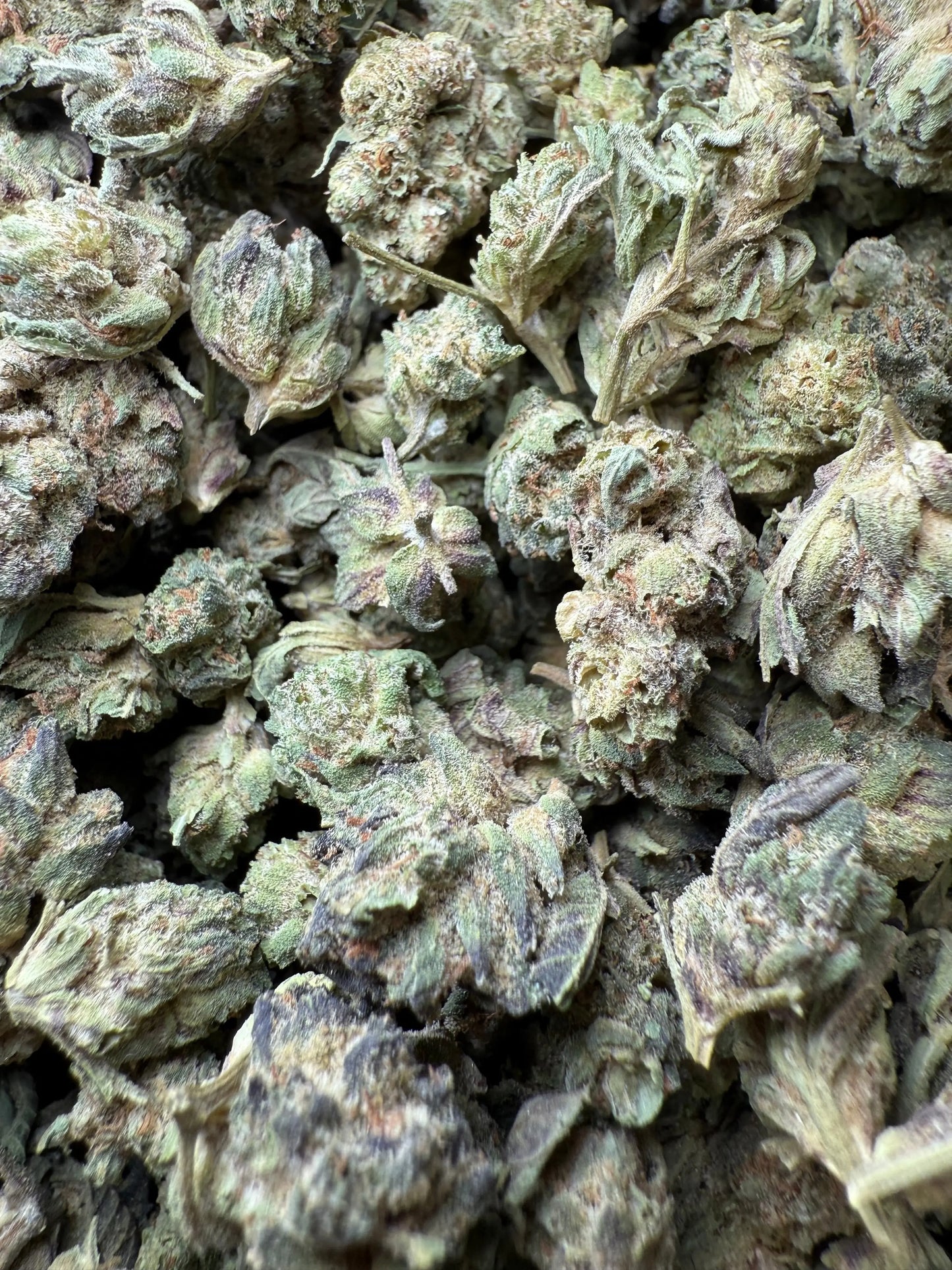 1 Pound - Jokers Runtz THCA Strain (Small) Frisco Labs