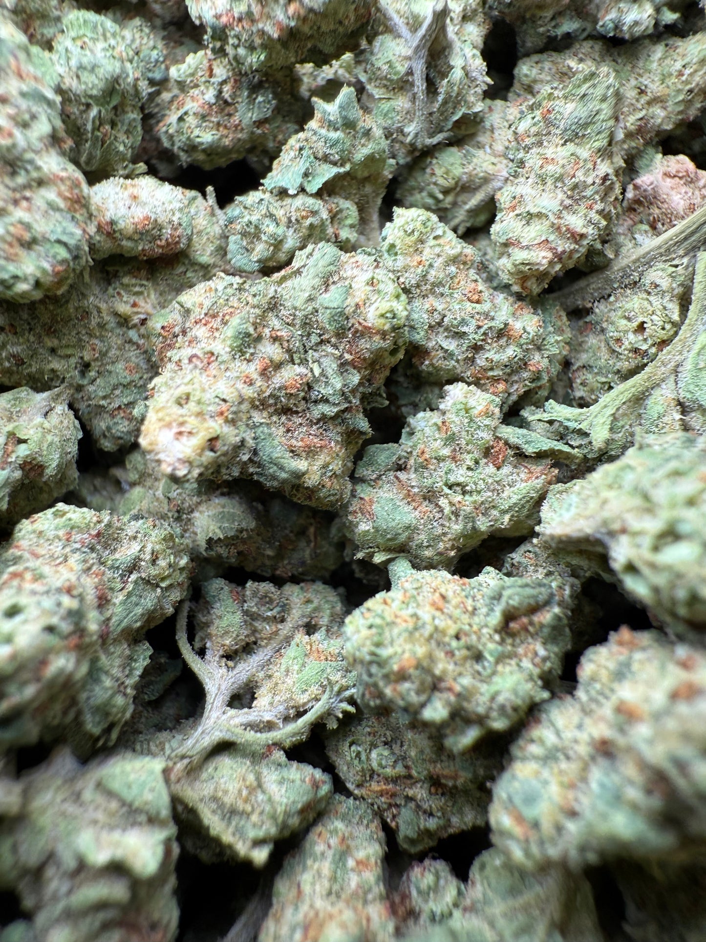 1 Pound - LA Confidential THCA Strain (Small) Frisco Labs