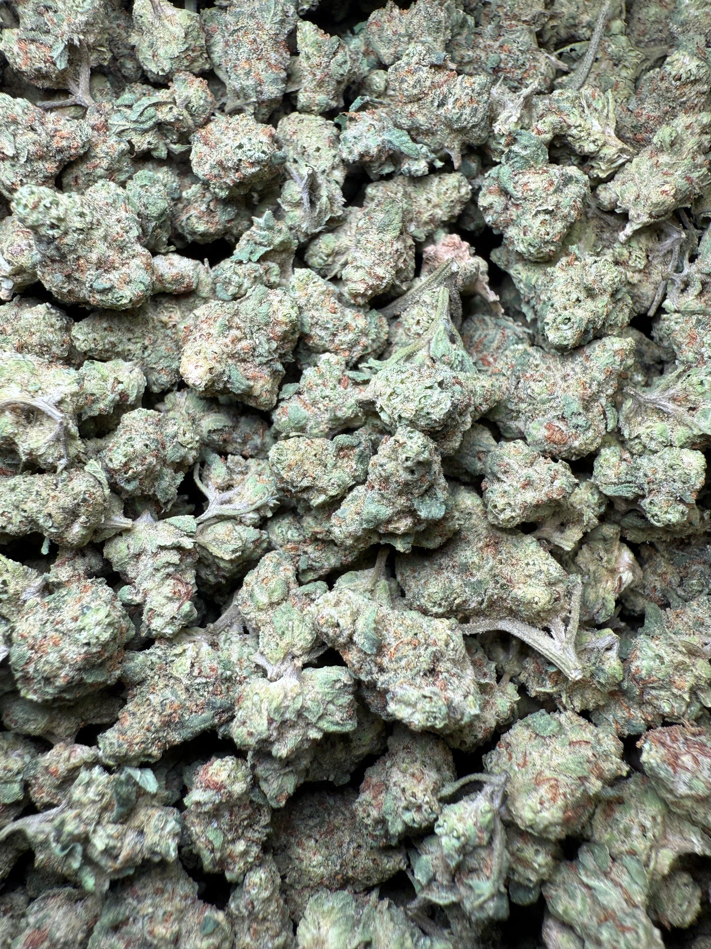 1 Pound - LA Confidential THCA Strain (Small) Frisco Labs