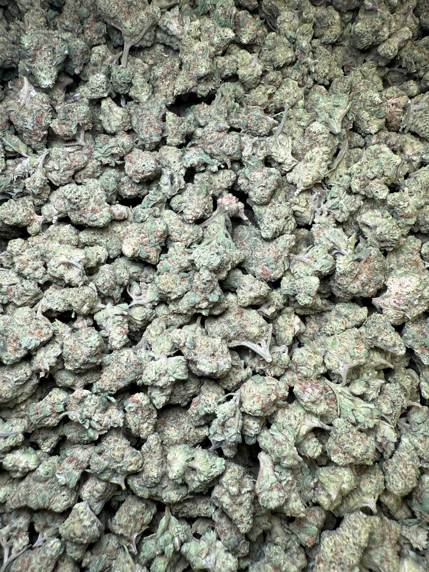 1 Pound - LA Confidential THCA Strain (Small) Frisco Labs