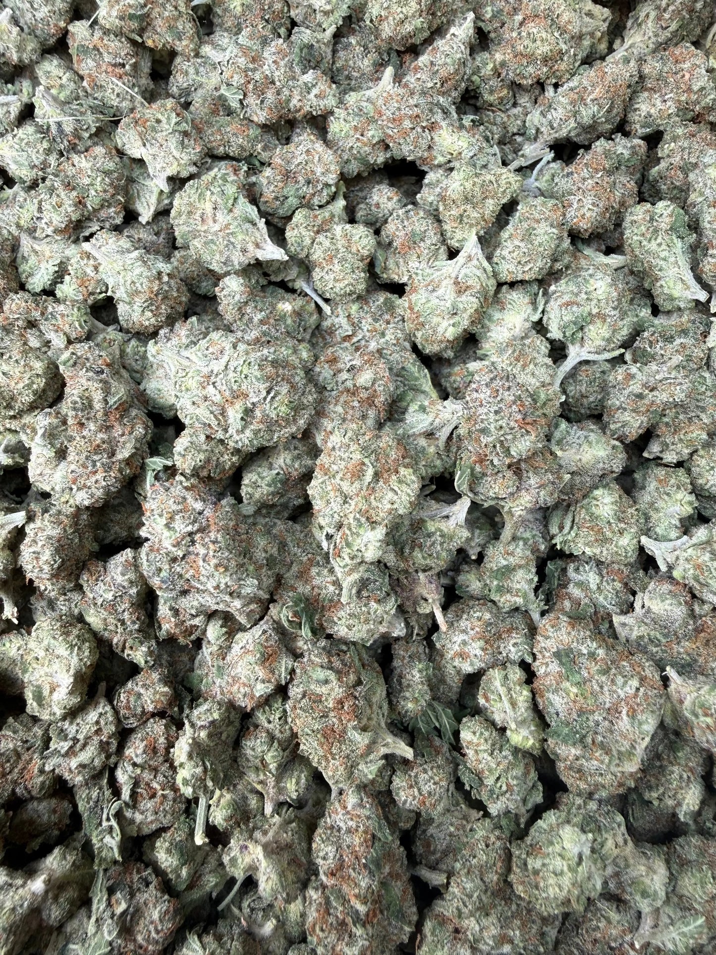 1 Pound - Mango Tango THCA Strain (Smalls) Frisco Labs