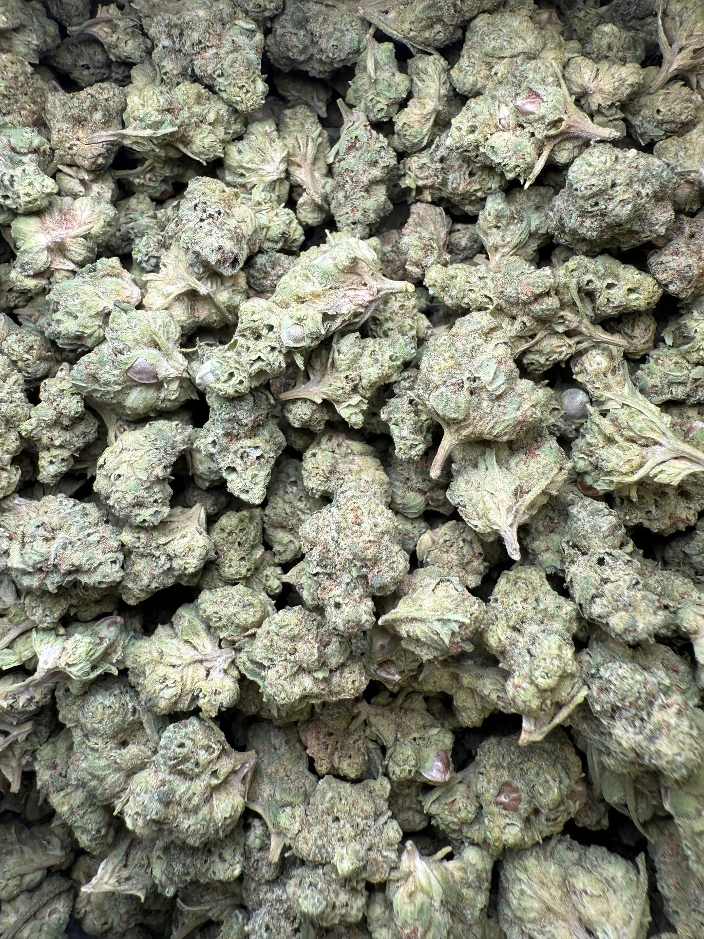 1 Pound - Mendo Montage THCA Strain (Smalls) Frisco Labs