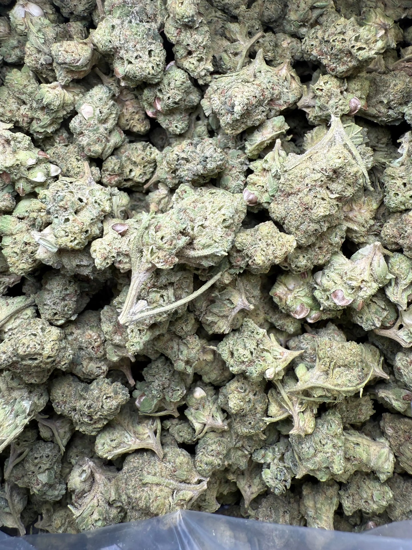 1 Pound - Mendo Montage THCA Strain (Smalls) Frisco Labs