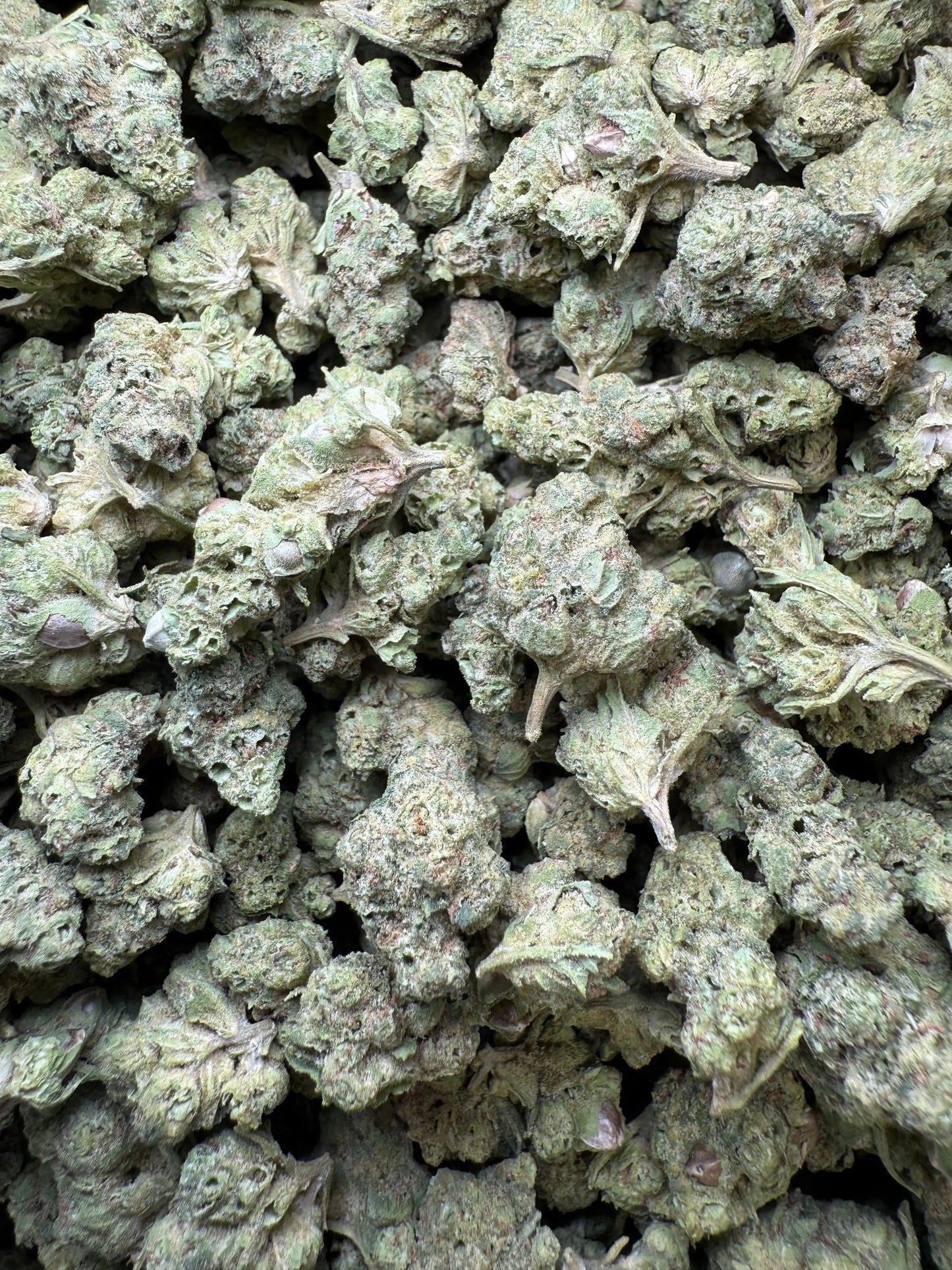 1 Pound - Mendo Montage THCA Strain (Smalls) Frisco Labs
