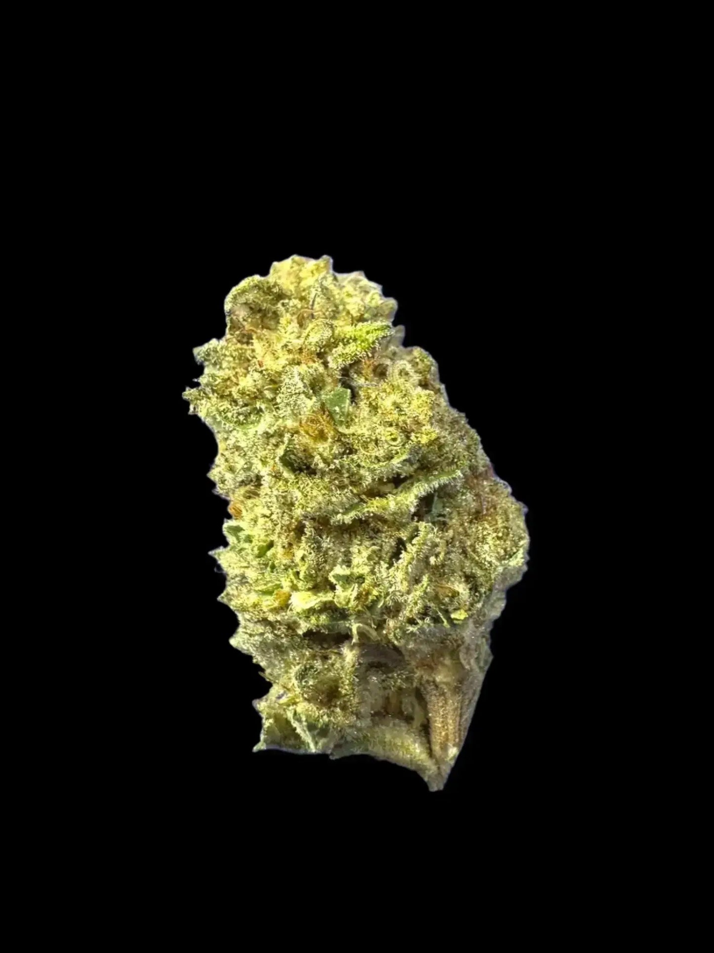 Frisco Labs - Red Velvet Strain THCA