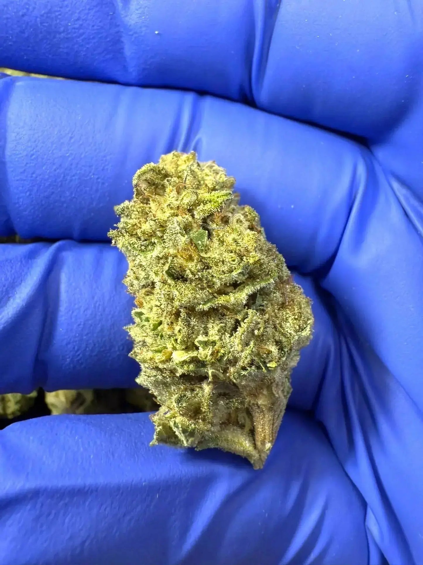 Frisco Labs - Red Velvet Strain THCA