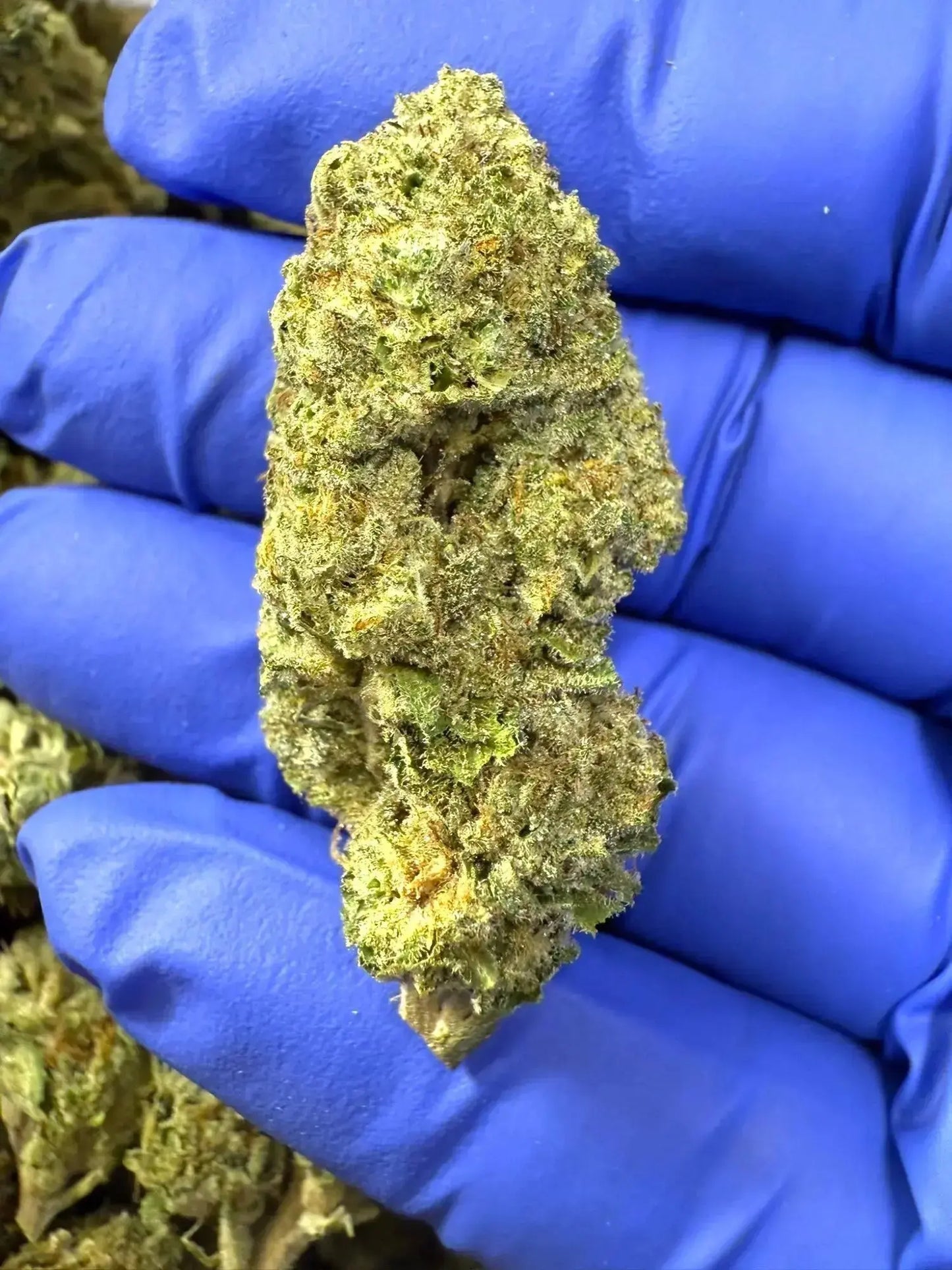 Frisco Labs - Red Velvet Strain THCA