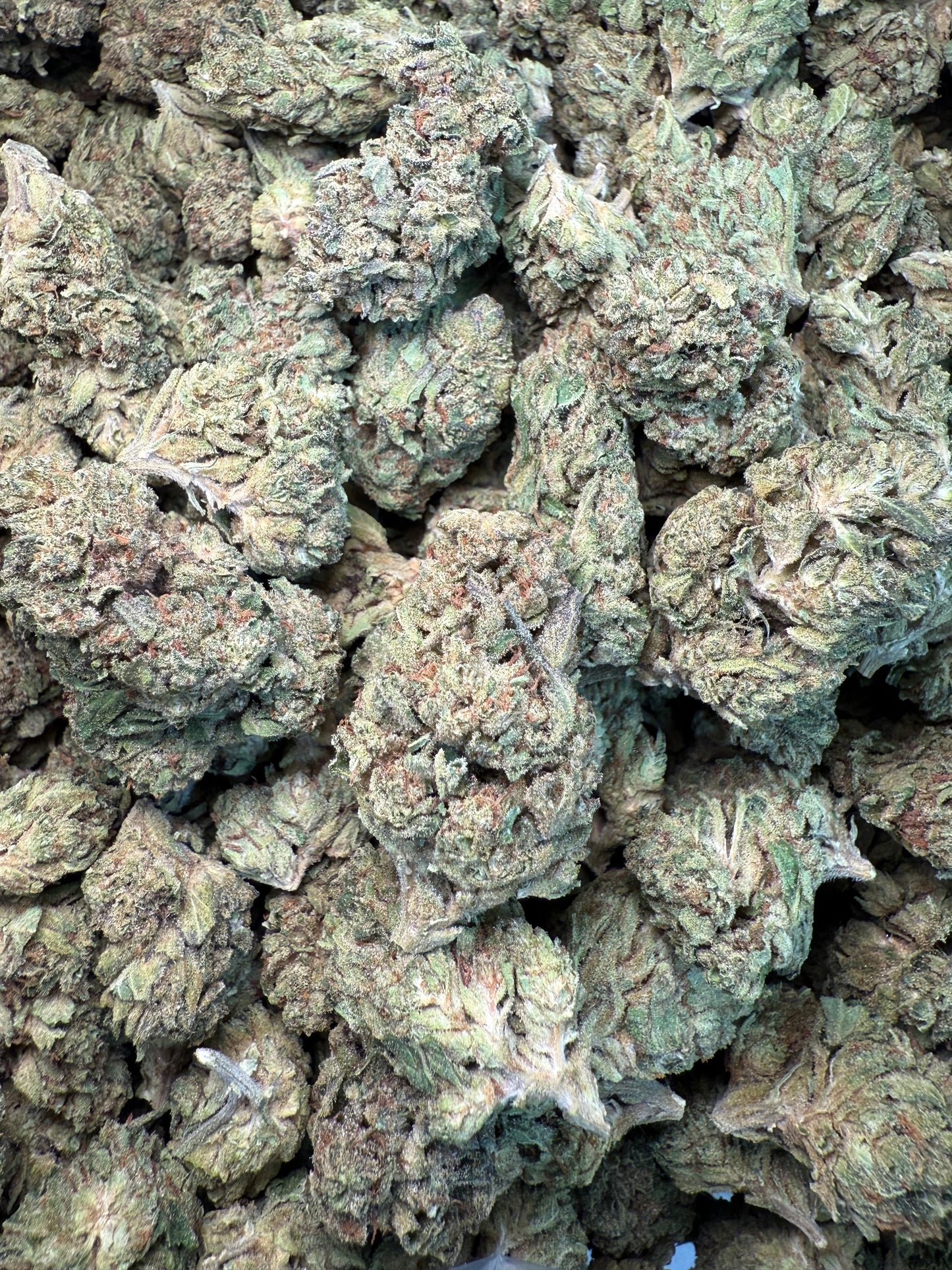1 Pound - SFV OG THCA Strain FL Fulfillment Center