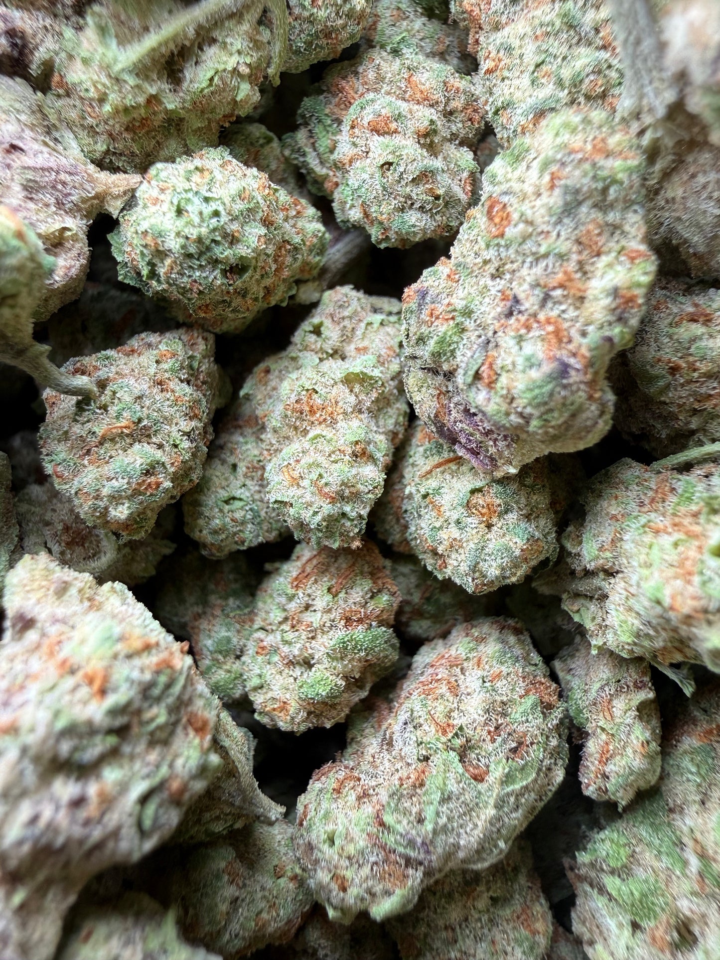 1 Pound - Grape Sugar Cookies THCA Strain (Smalls) Frisco Labs