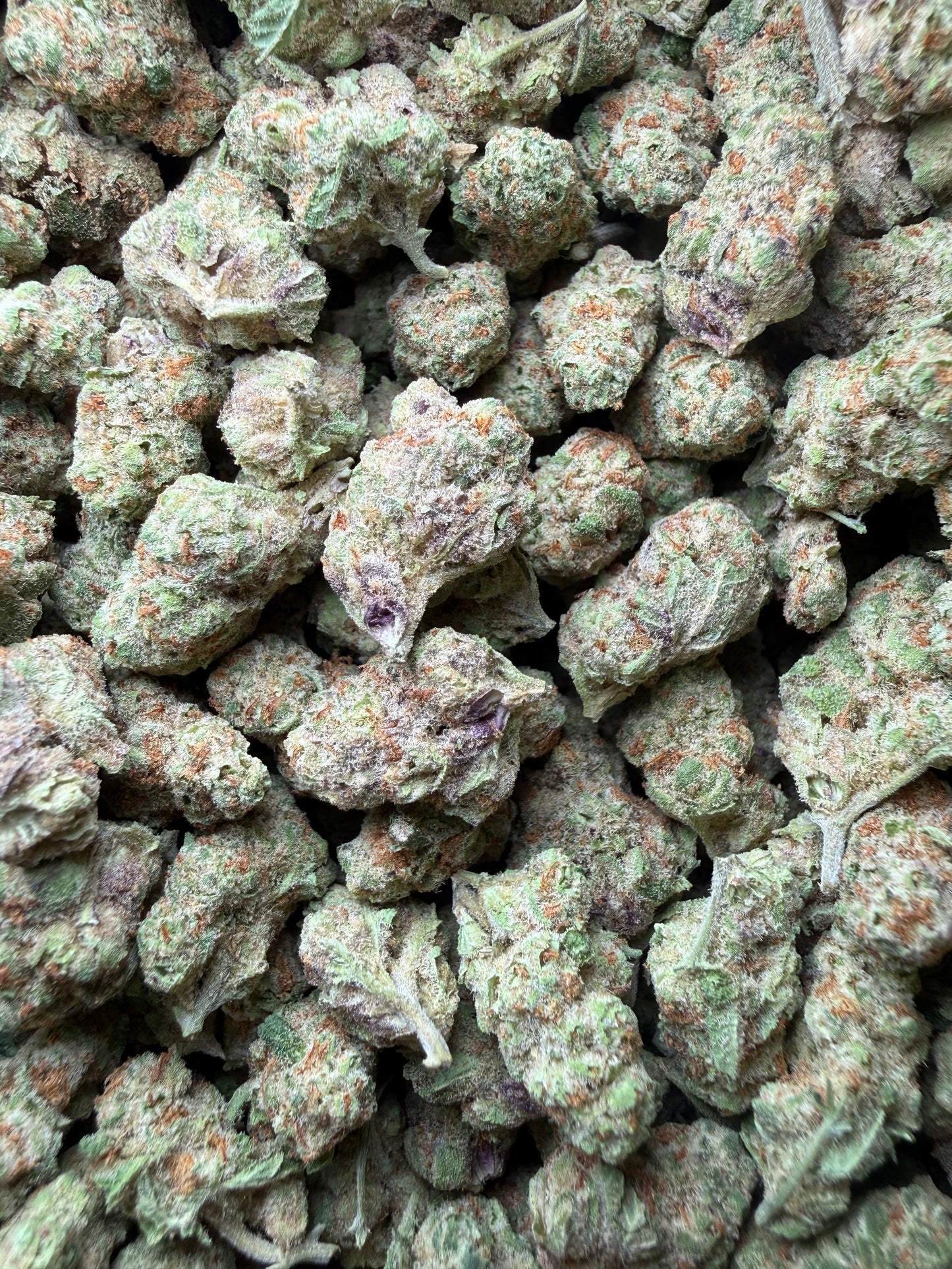 1 Pound - Grape Sugar Cookies THCA Strain (Smalls) Frisco Labs