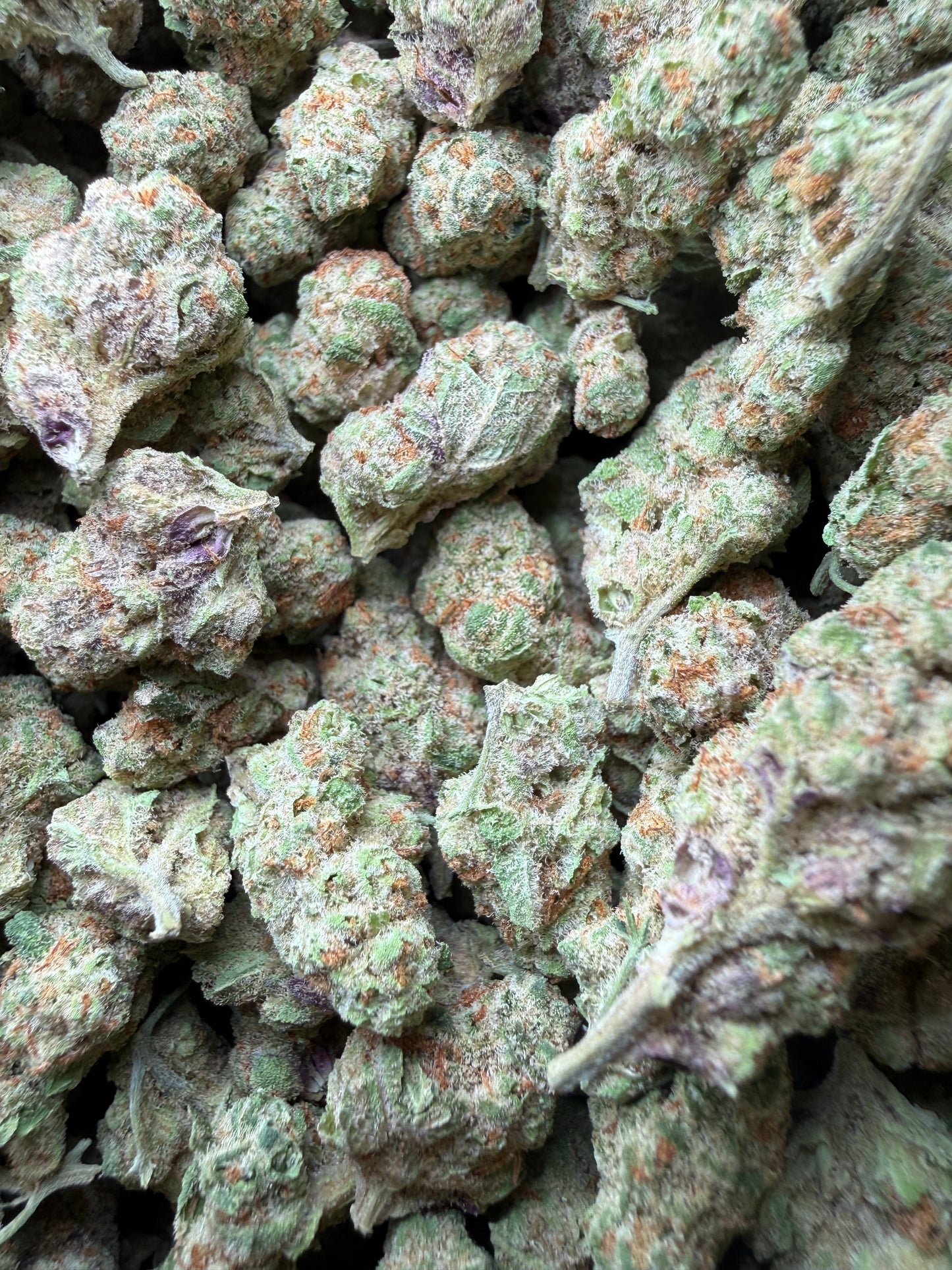 1 Pound - Grape Sugar Cookies THCA Strain (Smalls) Frisco Labs