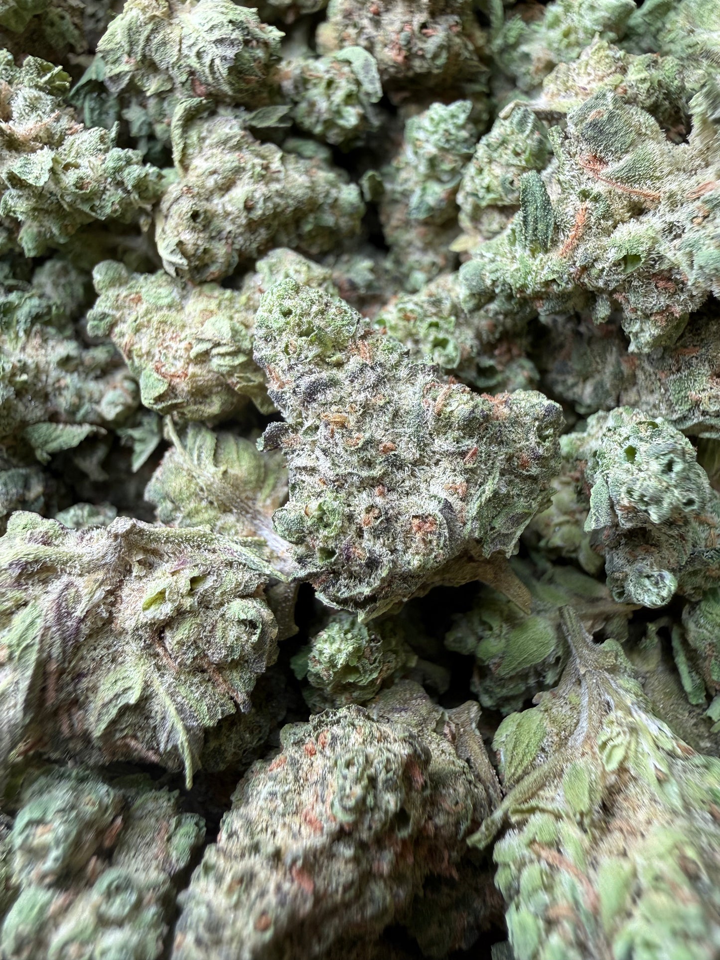 1 Pound - Smackerz THCA Strain (Smalls) Frisco Labs