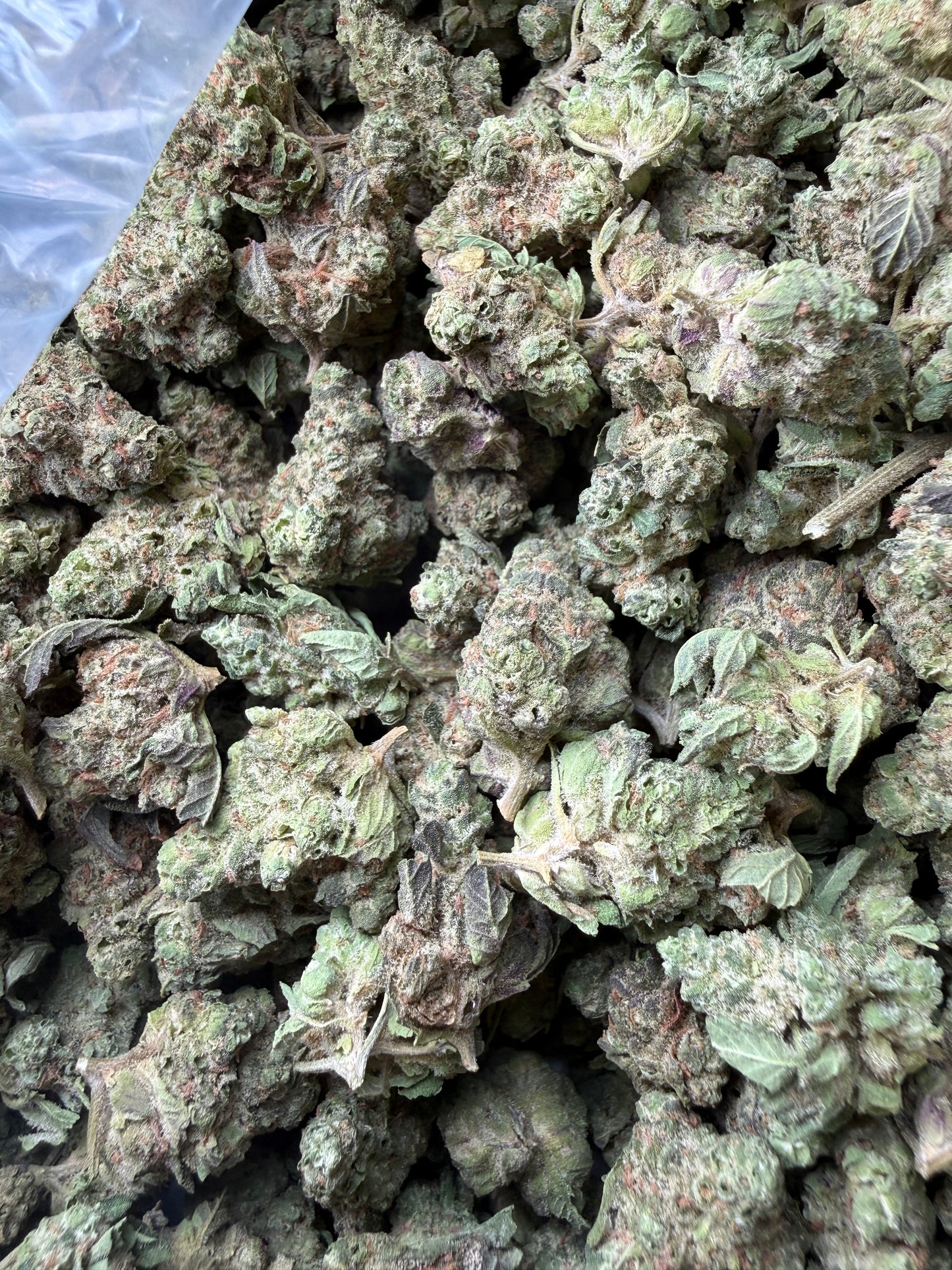 1 Pound - Smackerz THCA Strain (Smalls) Frisco Labs