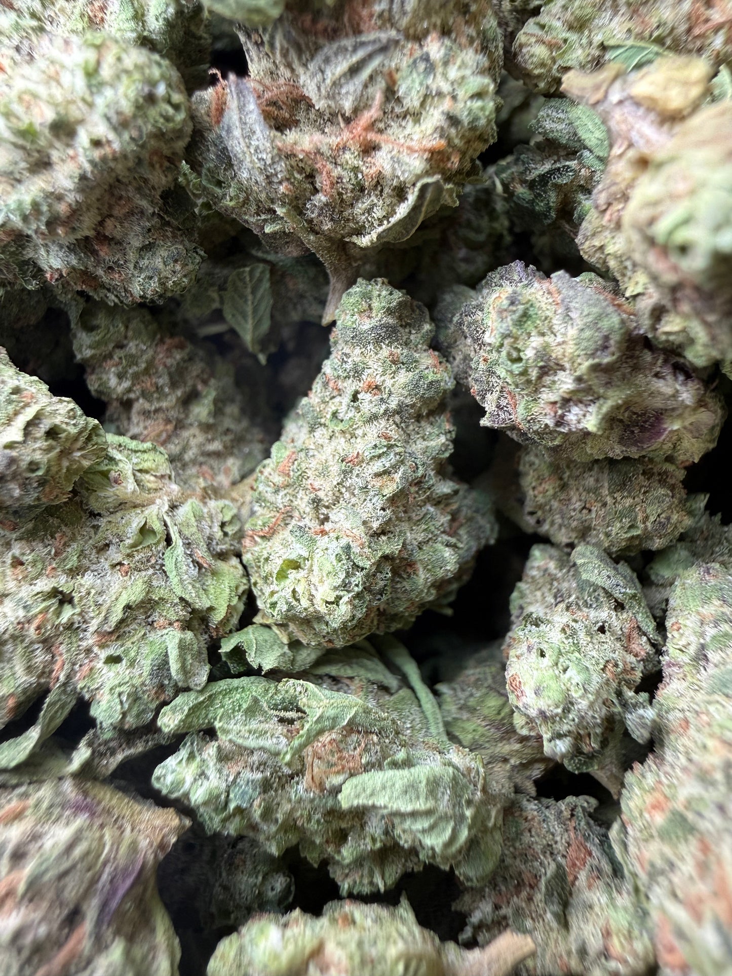 1 Pound - Smackerz THCA Strain (Smalls) Frisco Labs