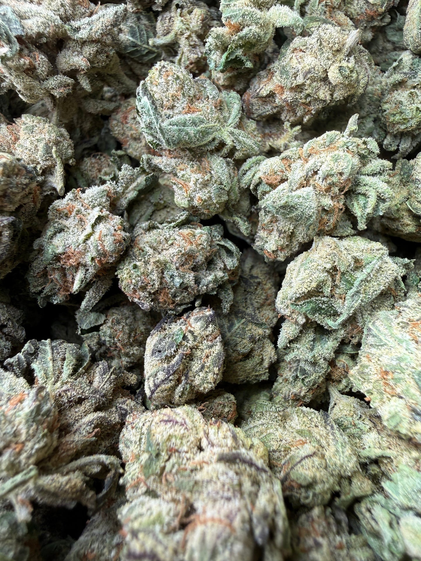 1 Pound - Space Queen THCA Strain (Smalls) Frisco Labs