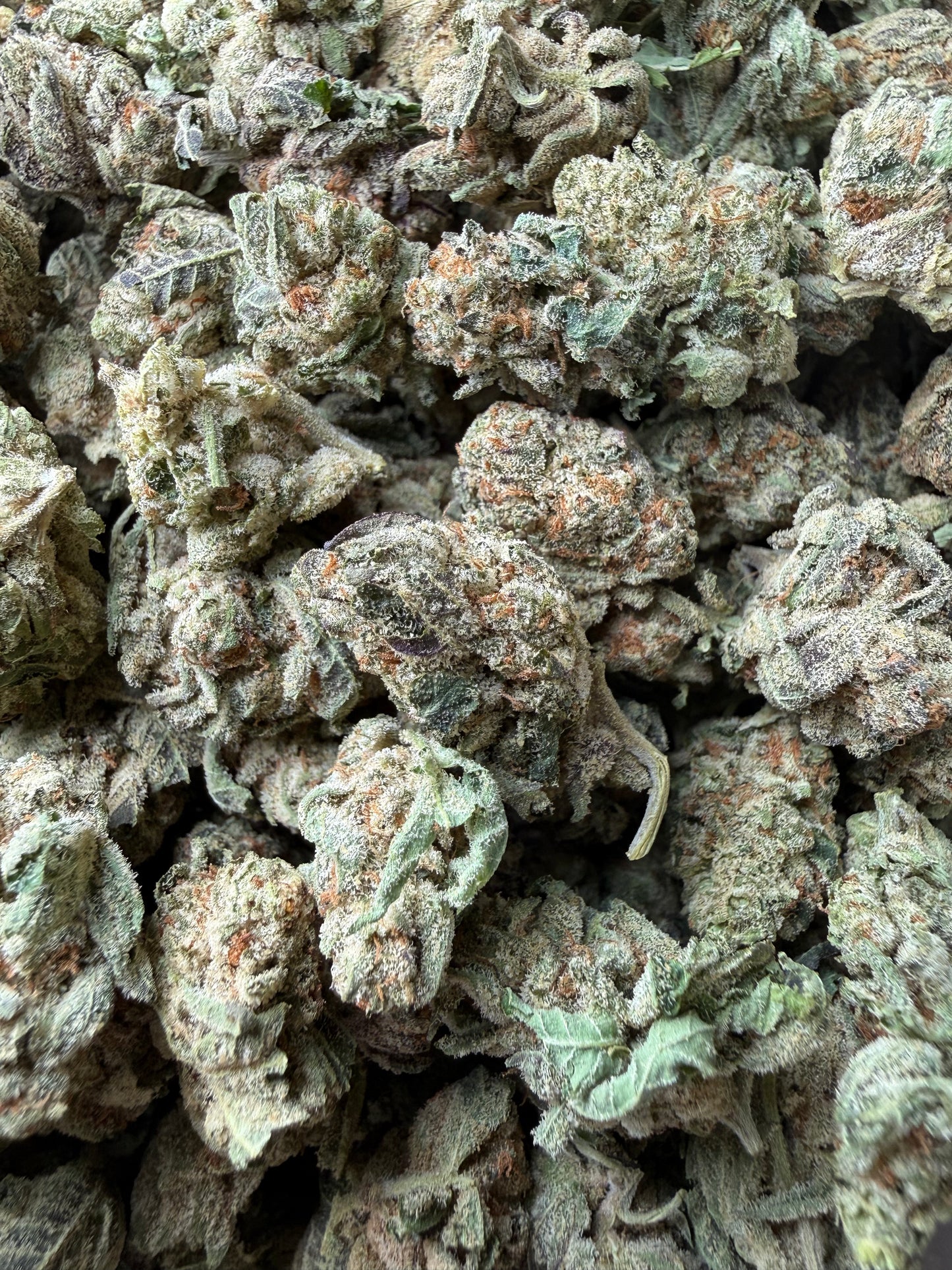 1 Pound - Space Queen THCA Strain (Smalls) Frisco Labs