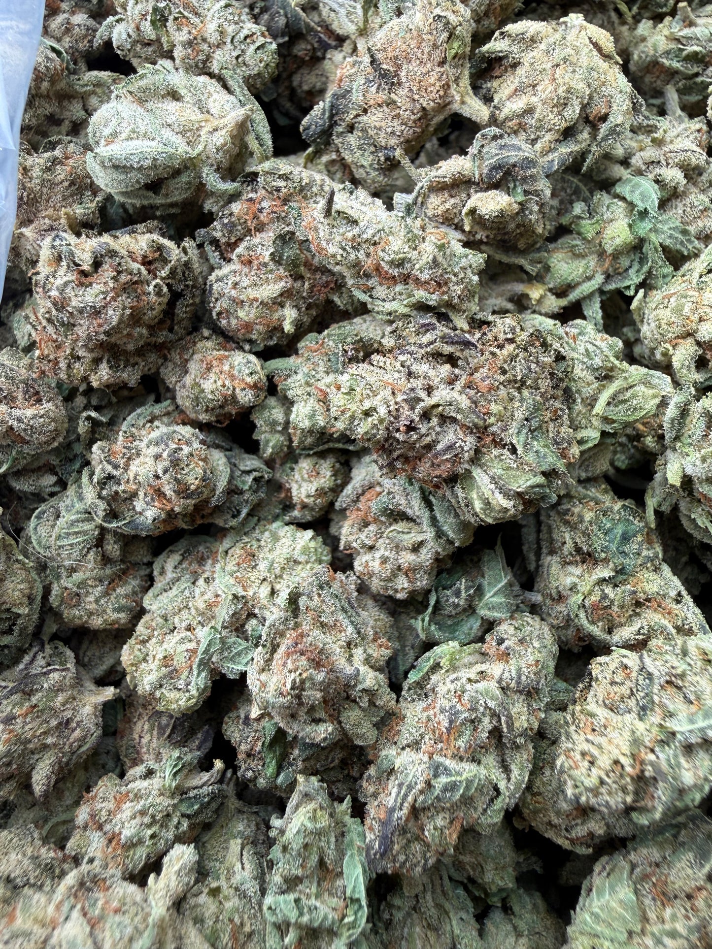 1 Pound - Space Queen THCA Strain (Smalls) Frisco Labs