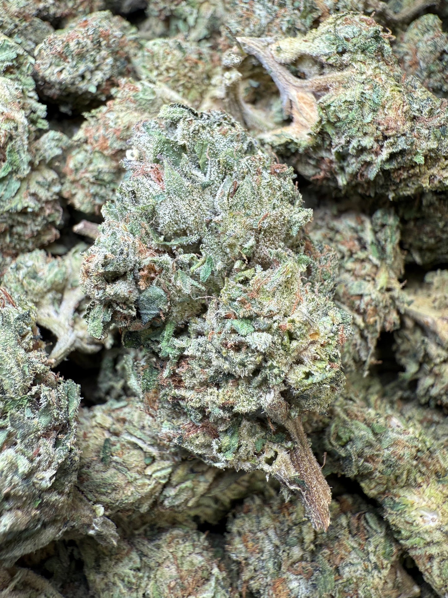 1 Pound - Venom OG THCA Strain Frisco Labs