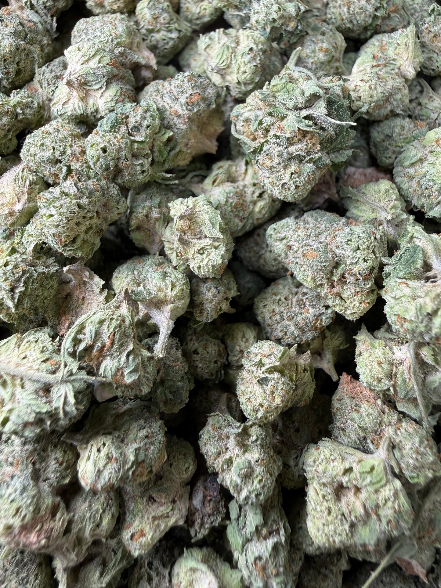 1 Pound - Waffles THCA Strain (Smalls) Frisco Labs
