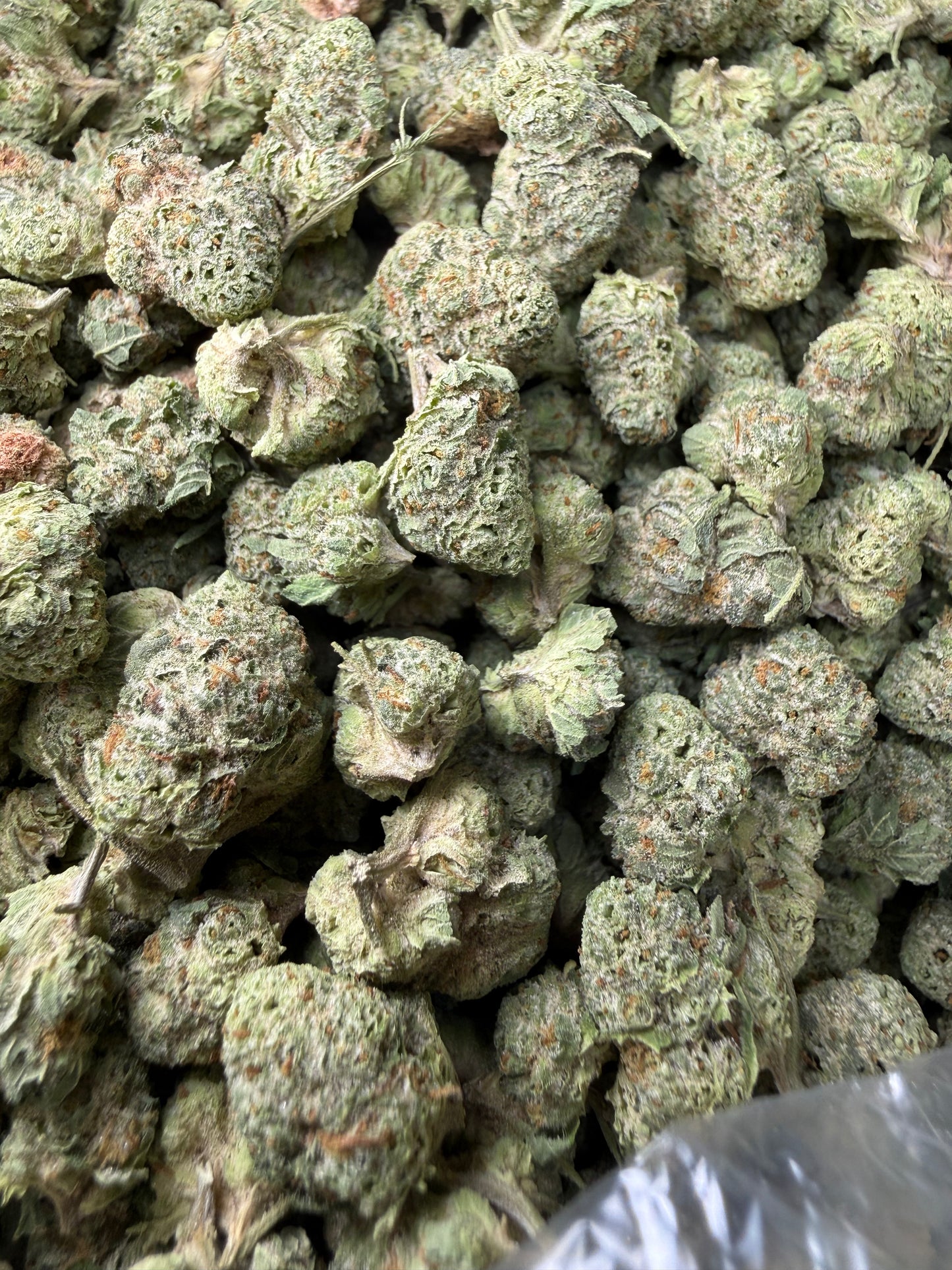1 Pound - Waffles THCA Strain (Smalls) Frisco Labs