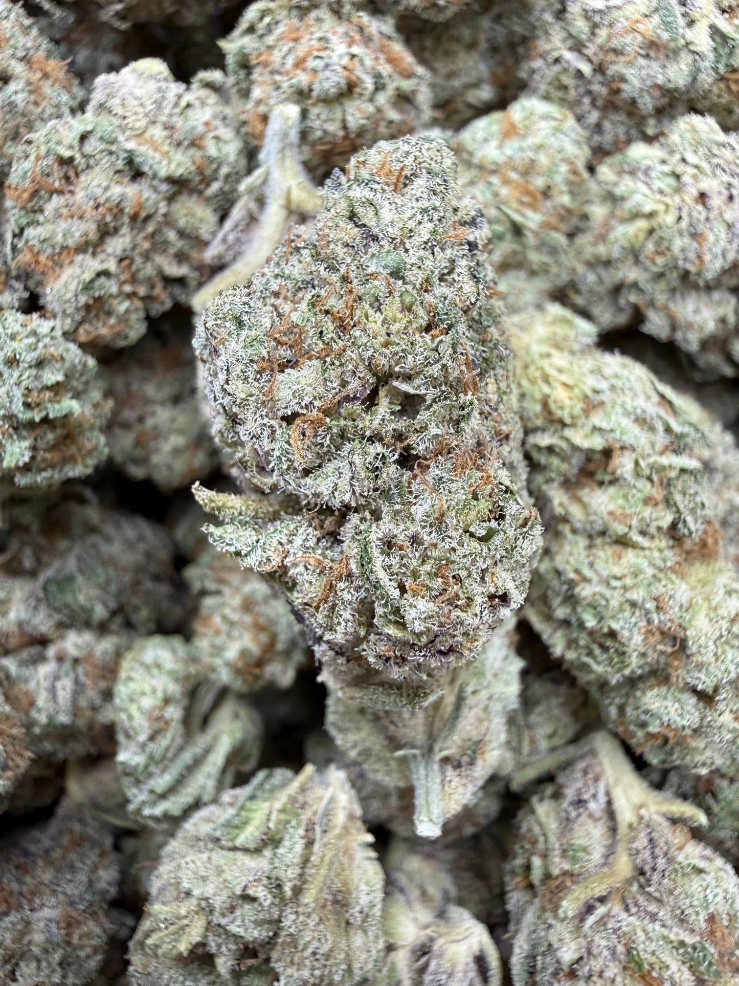 1 Pound - White Afghani THCA Strain Frisco Labs