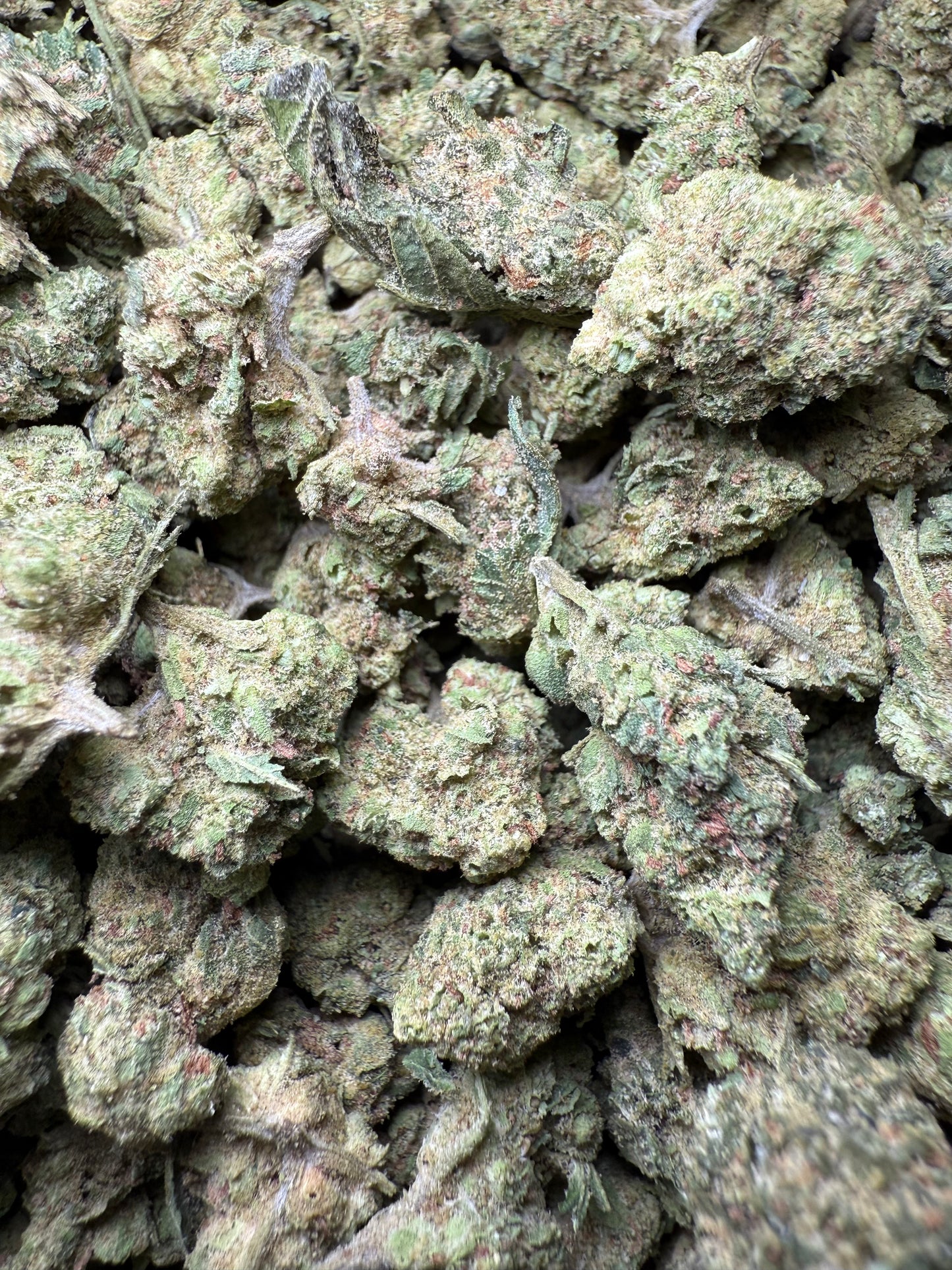 1 Pound - Wild Card THCA Strain (Small) Frisco Labs