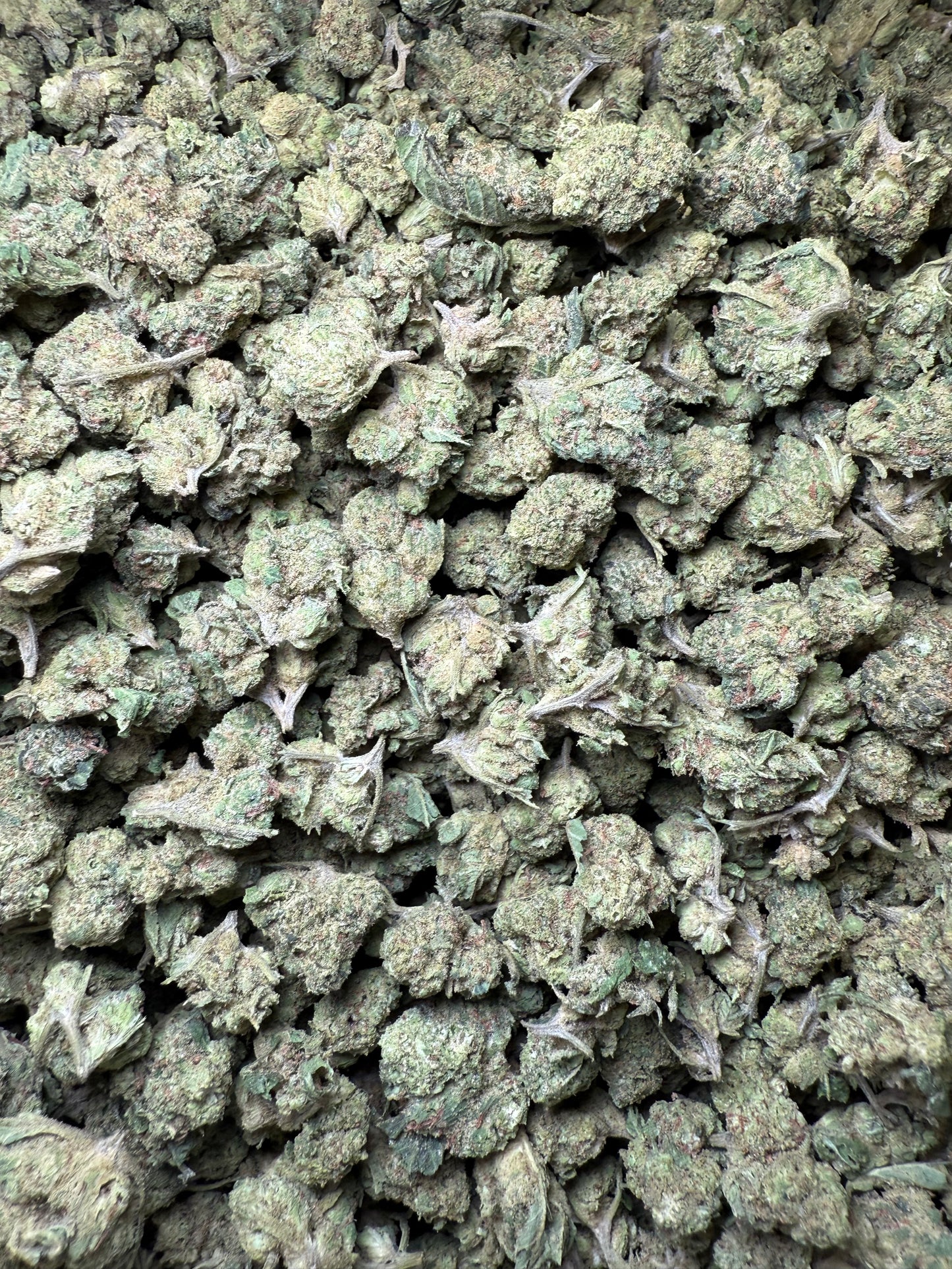1 Pound - Wild Card THCA Strain (Small) Frisco Labs