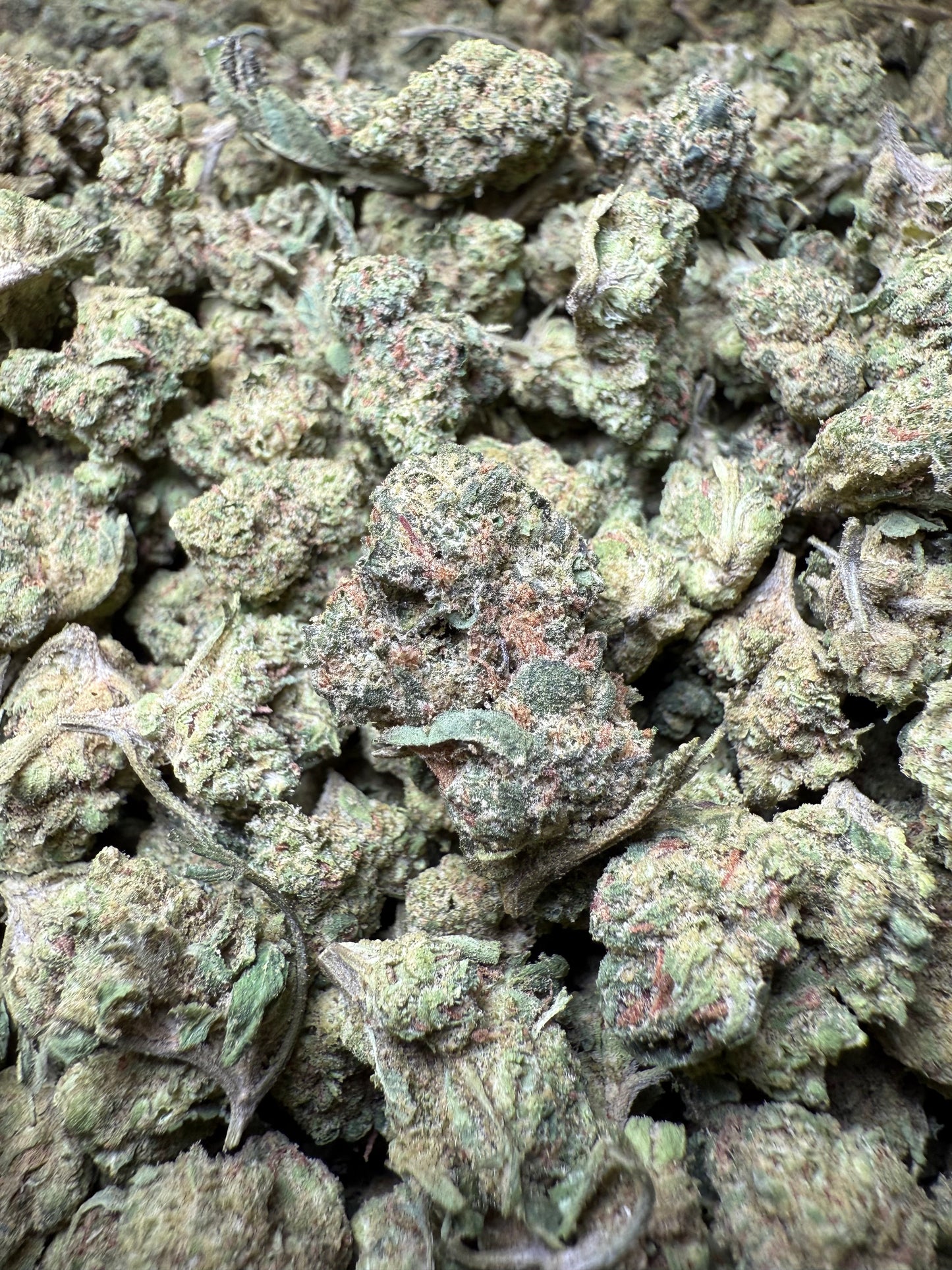1 Pound - Wild Card THCA Strain (Small) Frisco Labs