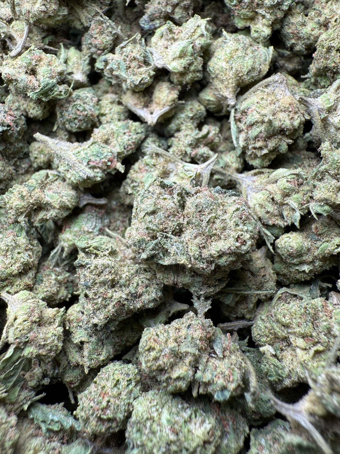 1 Pound - Wild Card THCA Strain (Small) Frisco Labs