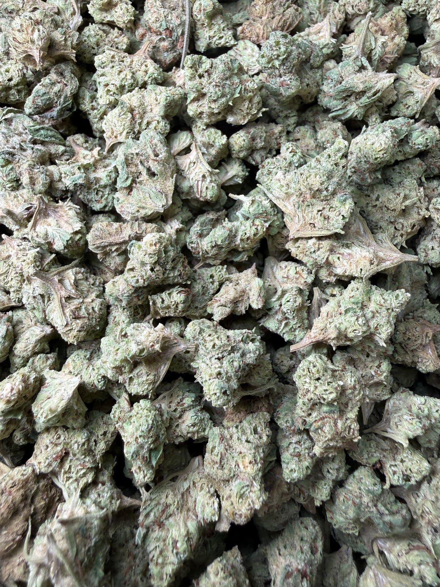 1 Pound - Yeet THCA Strain (Smalls) Frisco Labs