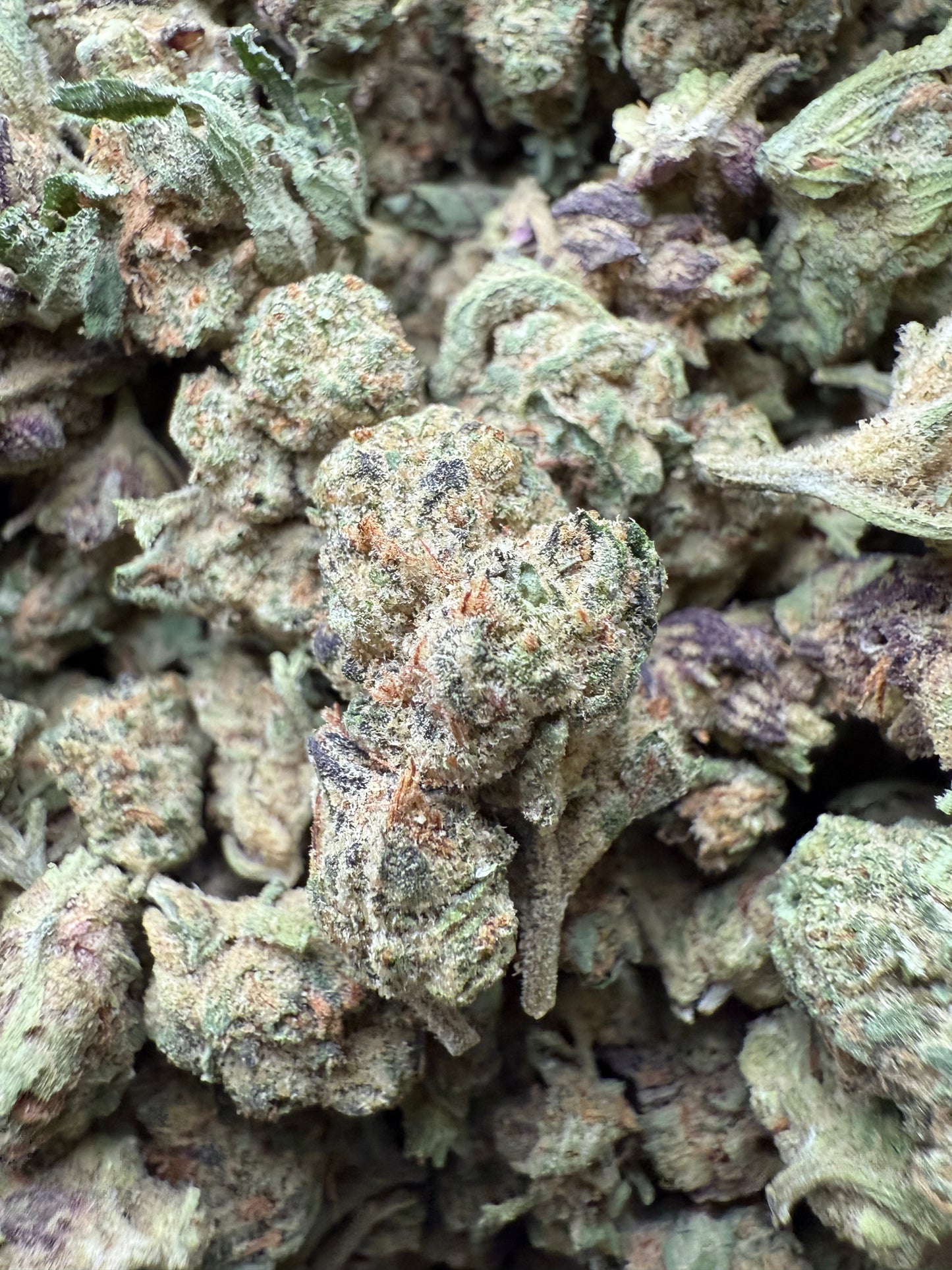 1 Pound - Zlurpe Lulu THCA Strain (Small) Frisco Labs