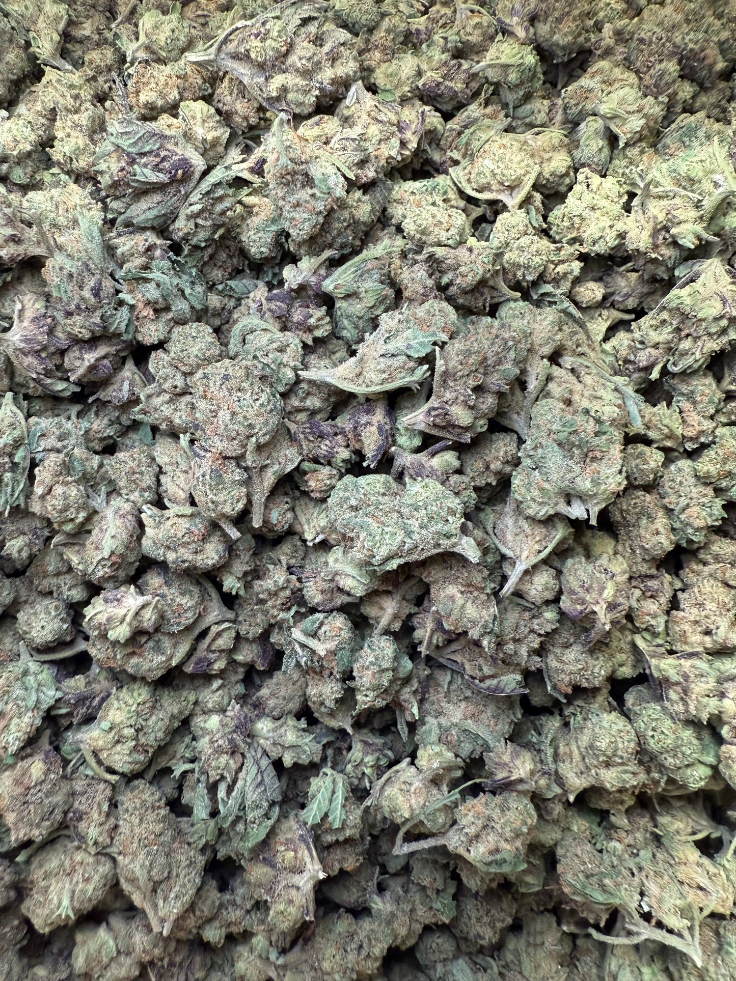 1 Pound - Zlurpe Lulu THCA Strain (Small) Frisco Labs