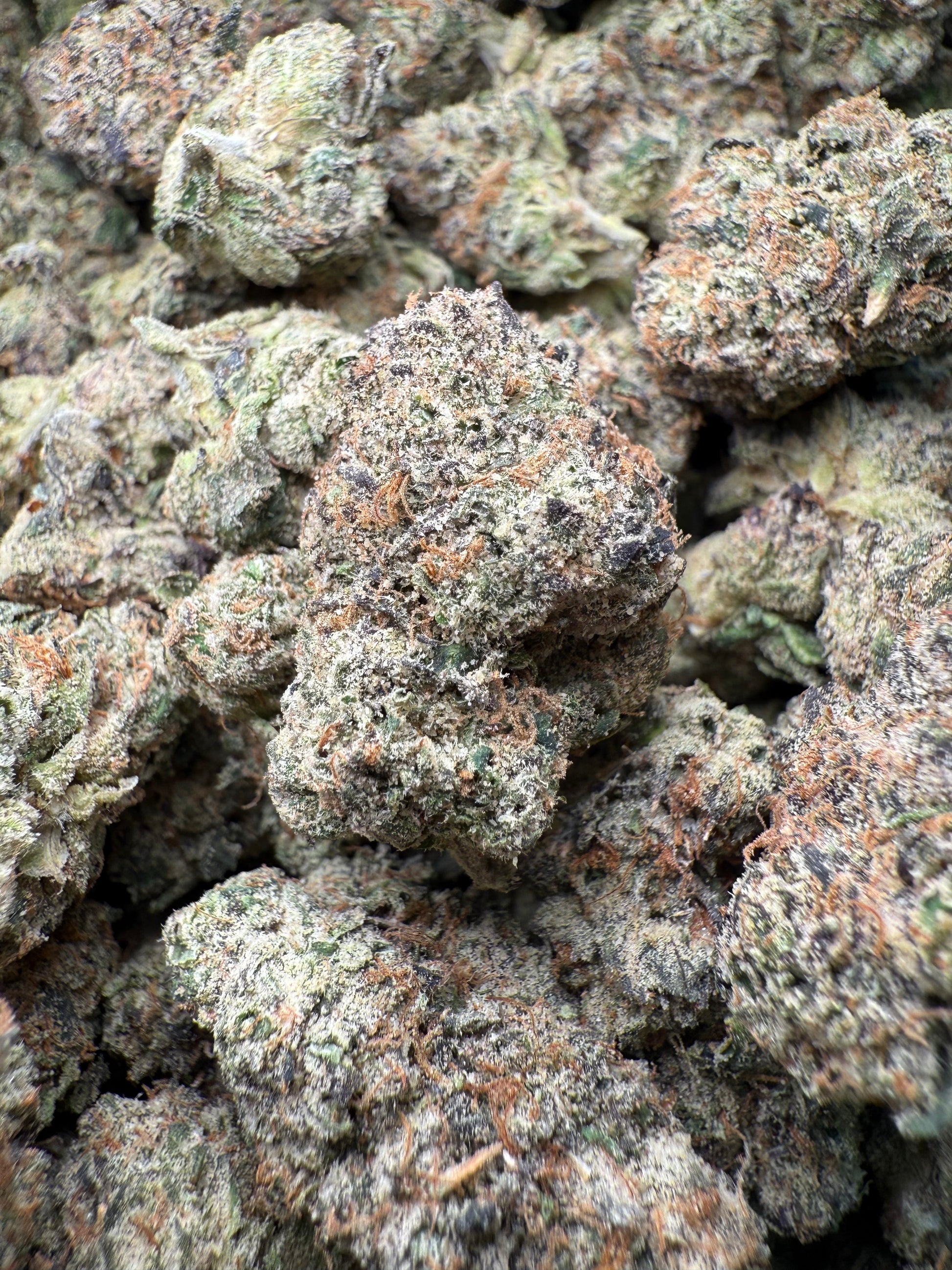 1 Pound – AAA Blue Nerds | Exotic Indoor THCA Flower | 28%+ THCA FL Fulfillment Center