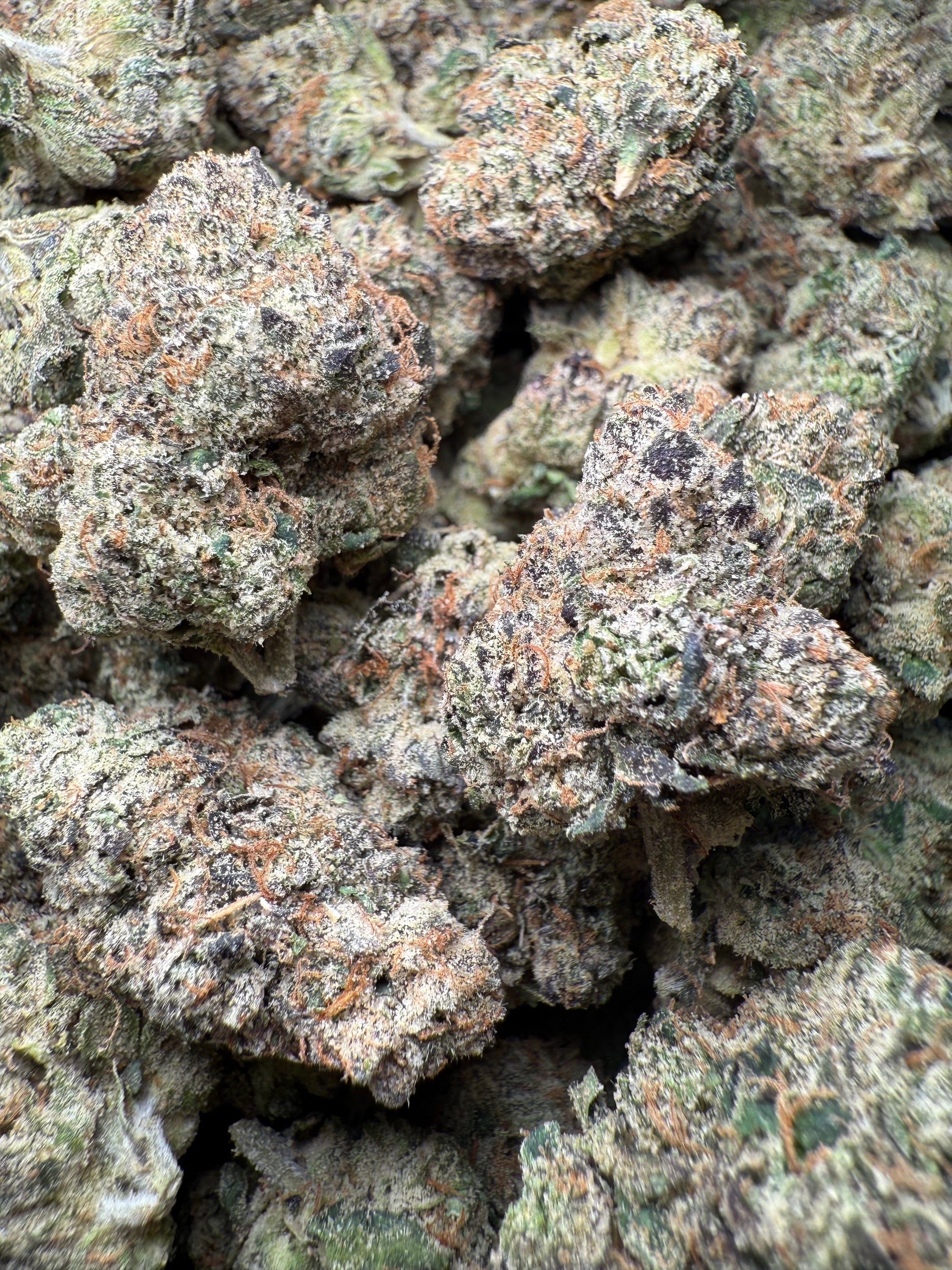 1 Pound – AAA Blue Nerds | Exotic Indoor THCA Flower | 28%+ THCA FL Fulfillment Center