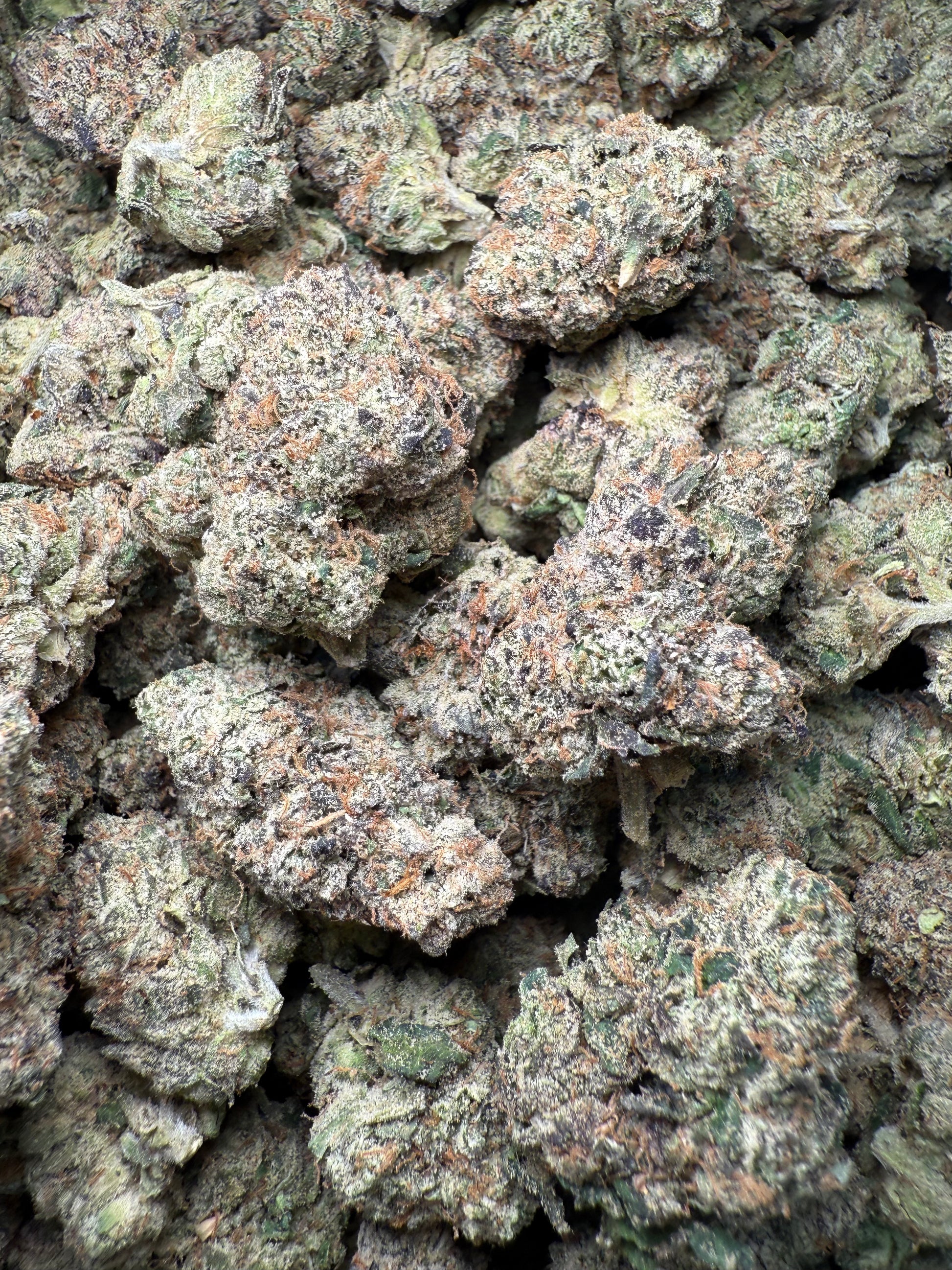 1 Pound – AAA Blue Nerds | Exotic Indoor THCA Flower | 28%+ THCA FL Fulfillment Center